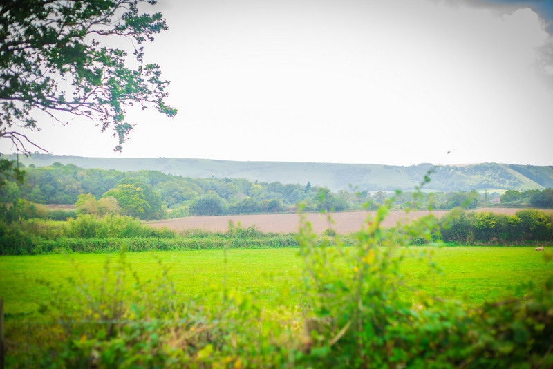 Plumpton-32.jpg
