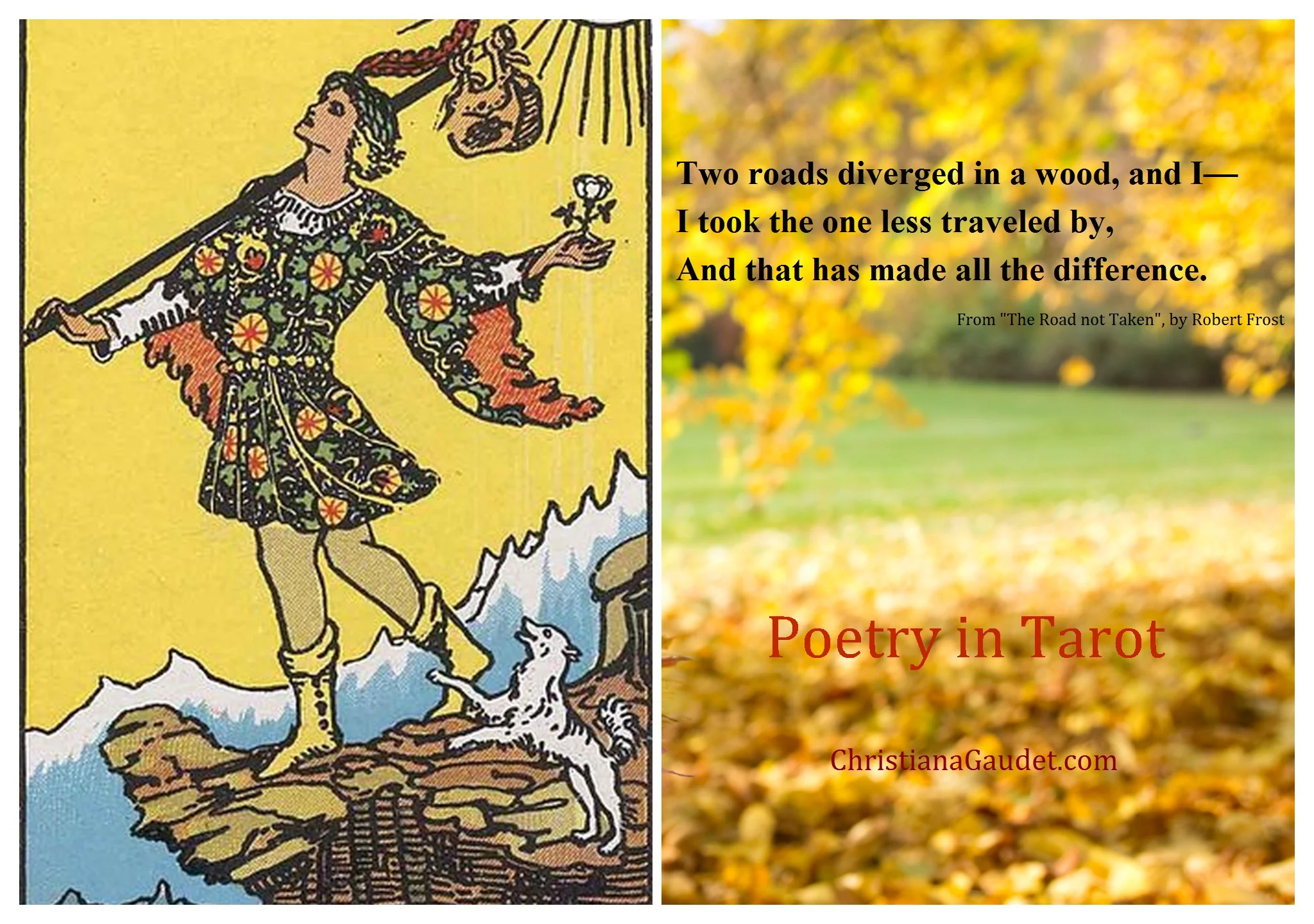 Poetry in Tarot: The Fool — Christiana Gaudet