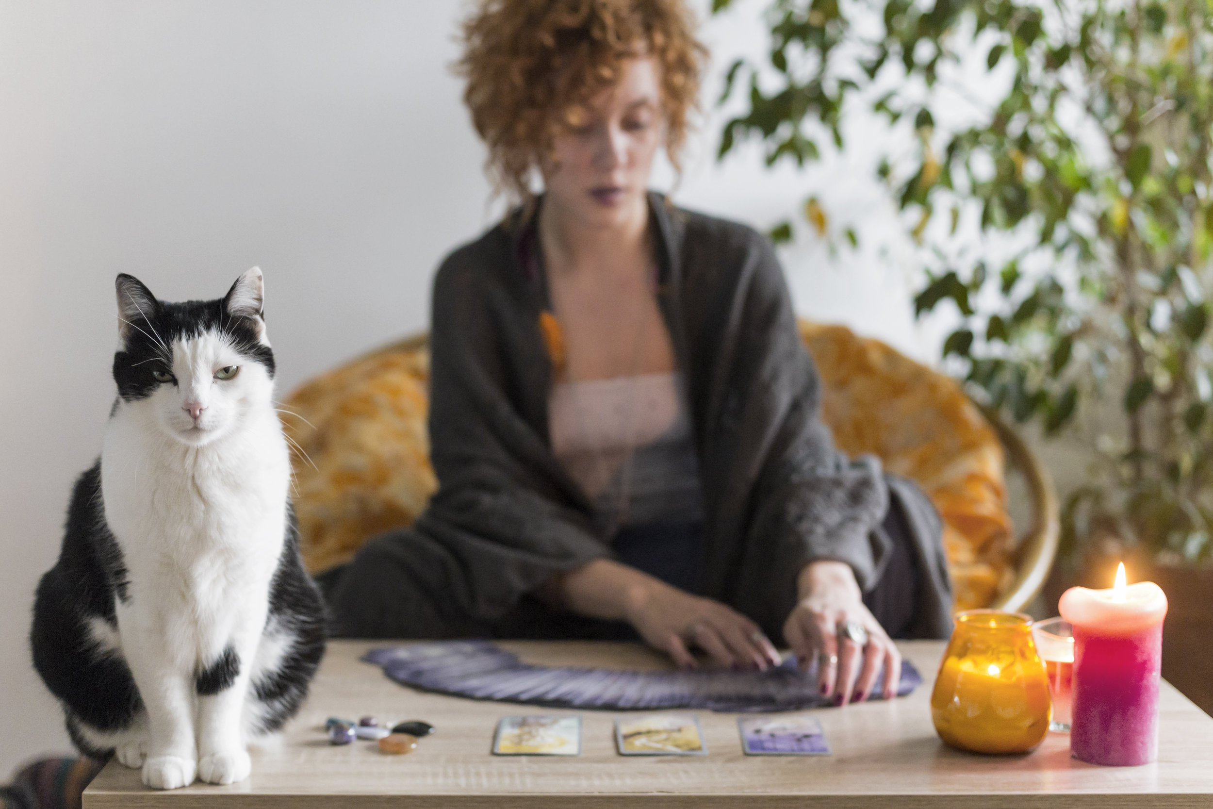 Tarot, Gratitude and Healing: Using Tarot to Heal