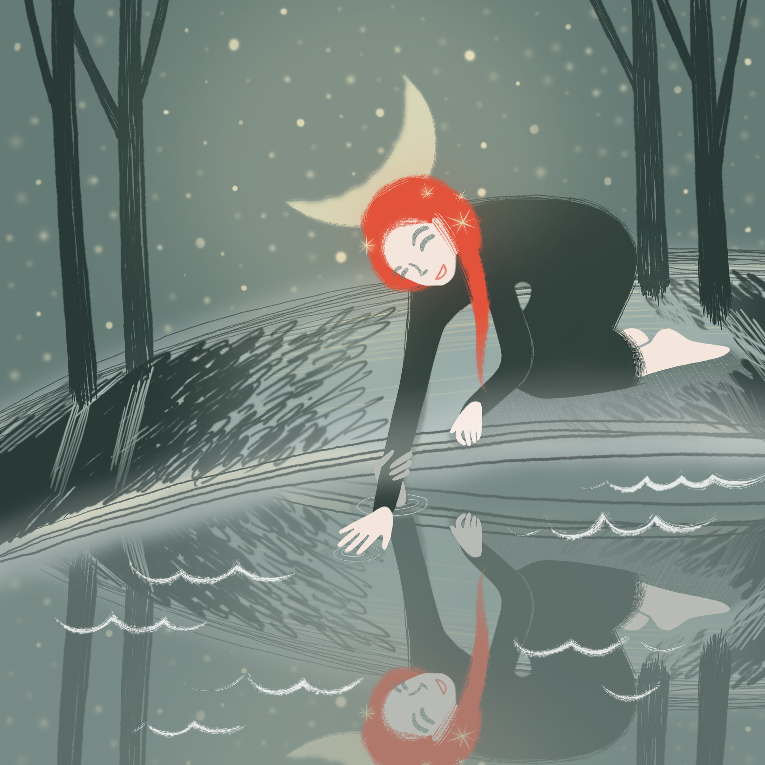 Mirror lake forest