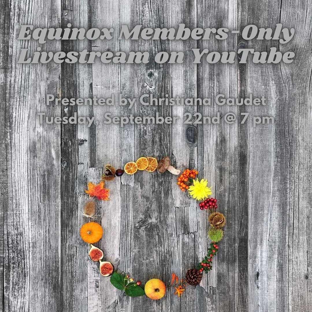 Equinox Members-Only Livestream on YouTube
