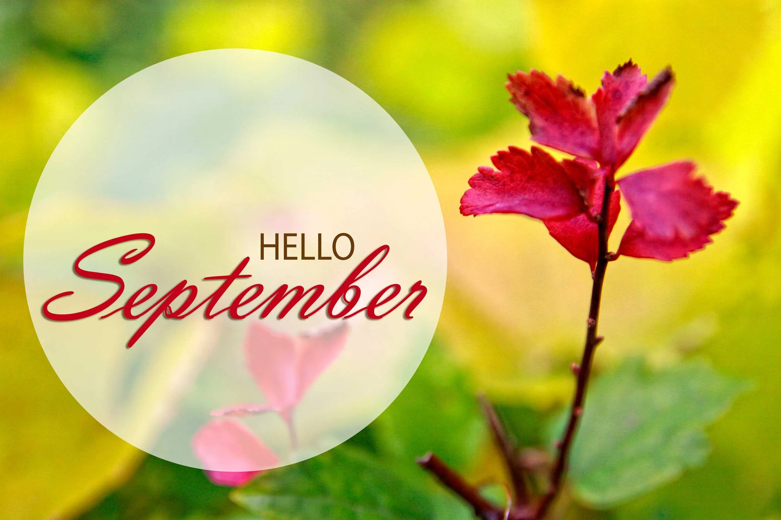 Concept photo welcoming September.