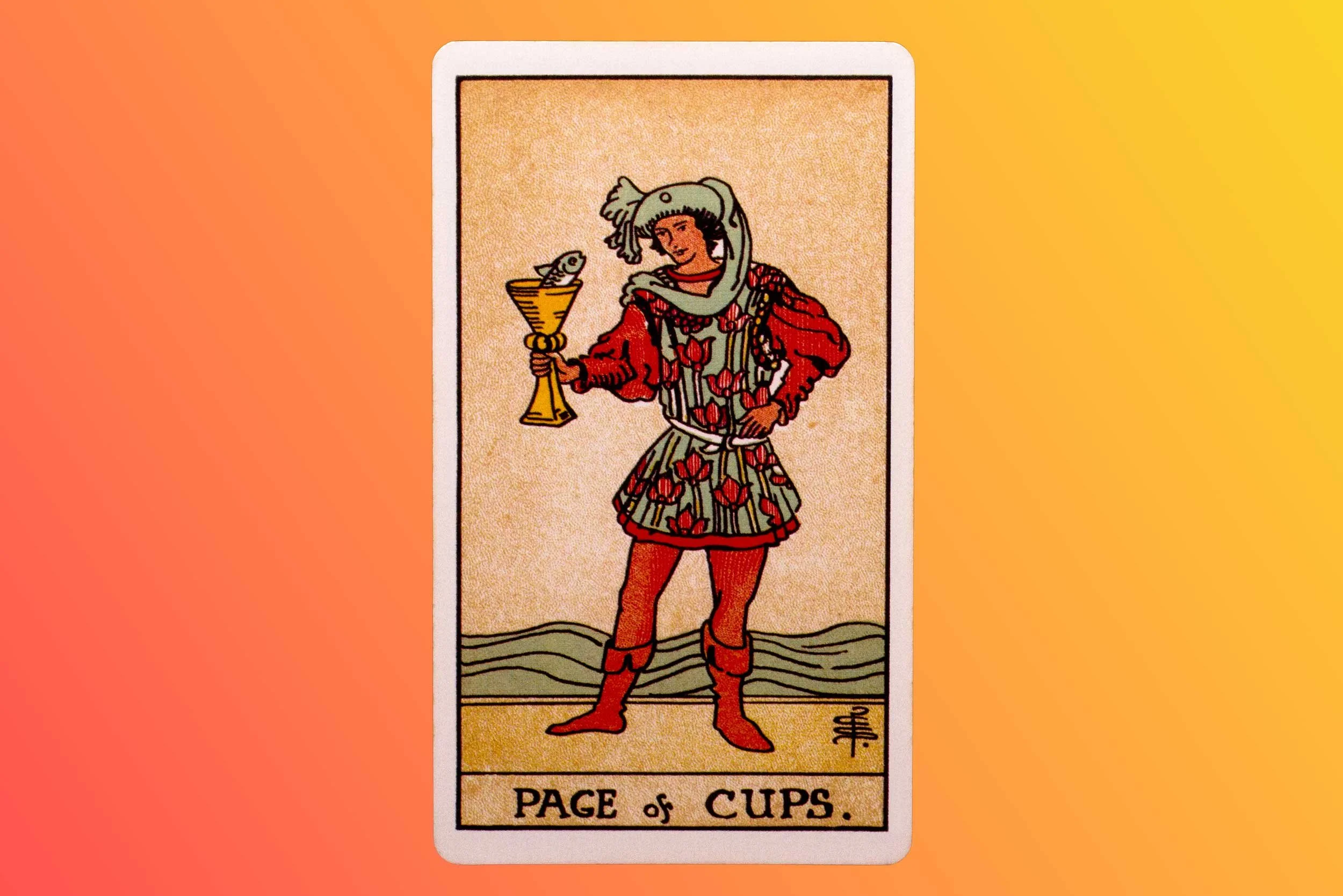 The Page of Cups.