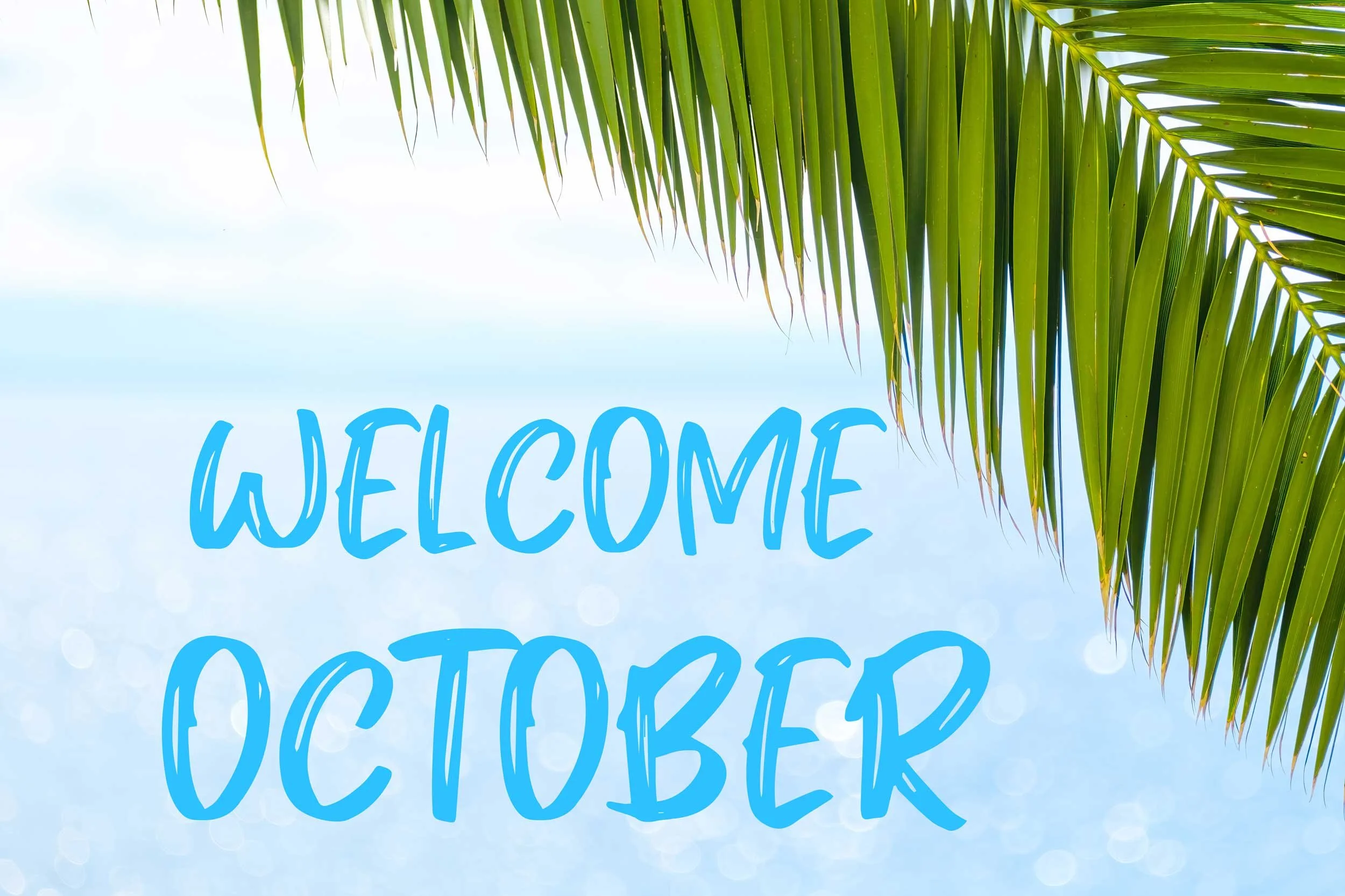 Concept Post reading Welcome October with a palm frond