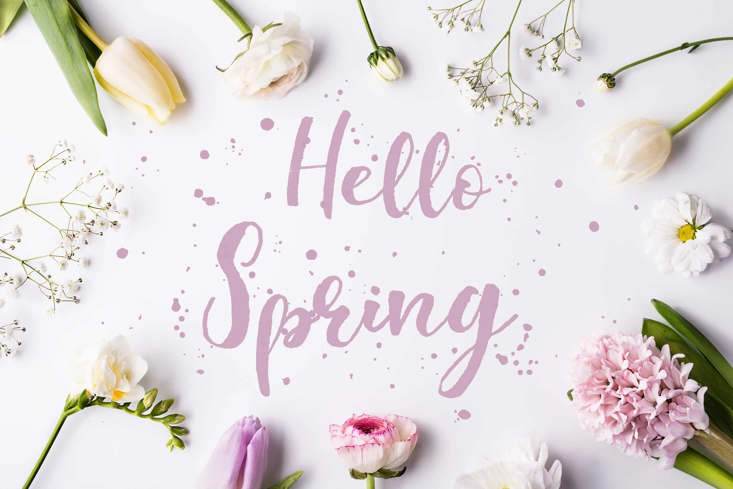"Hello Spring" surrounded by flowers.