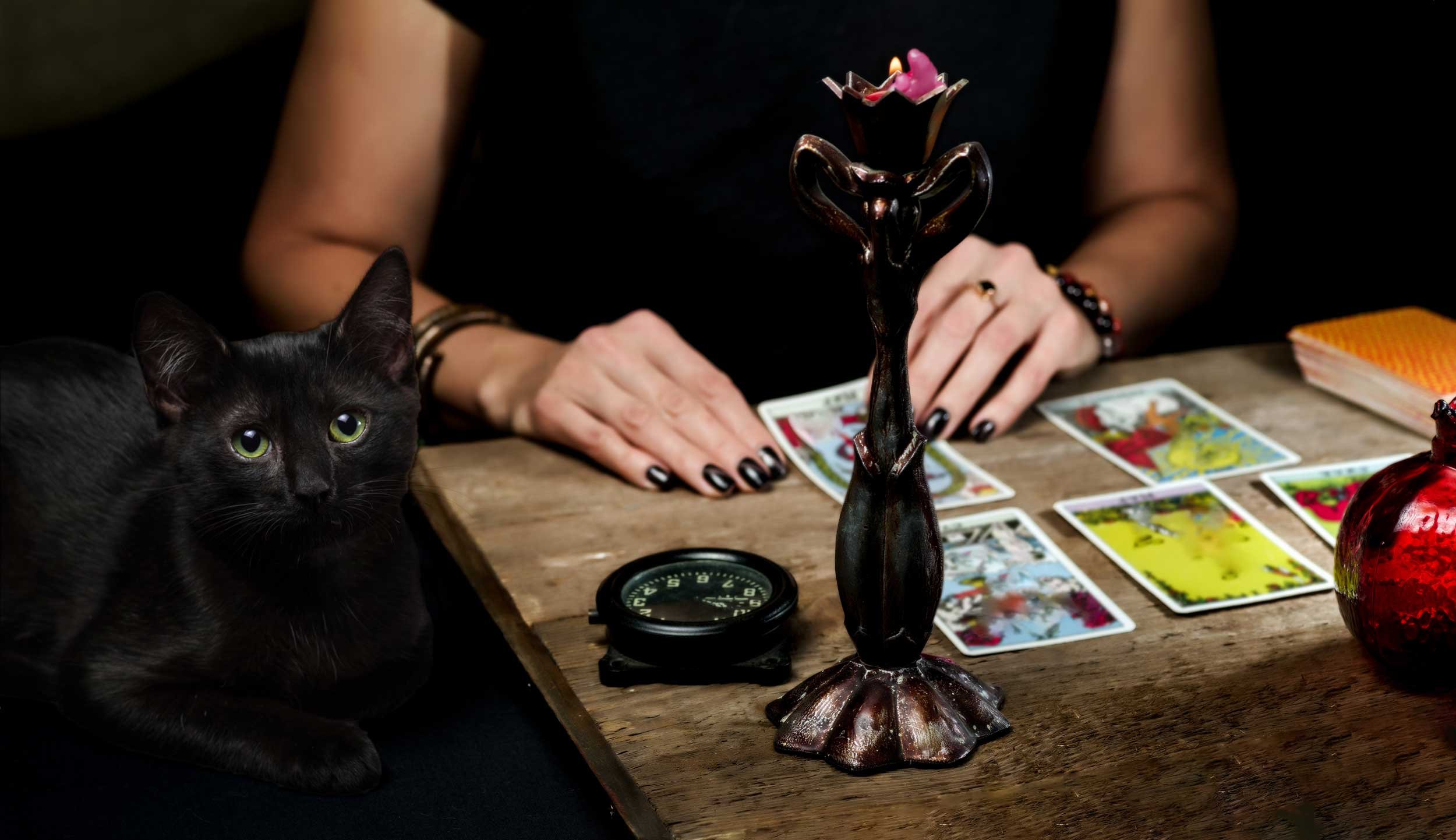 A woman reads tarot with her black cat at her side.