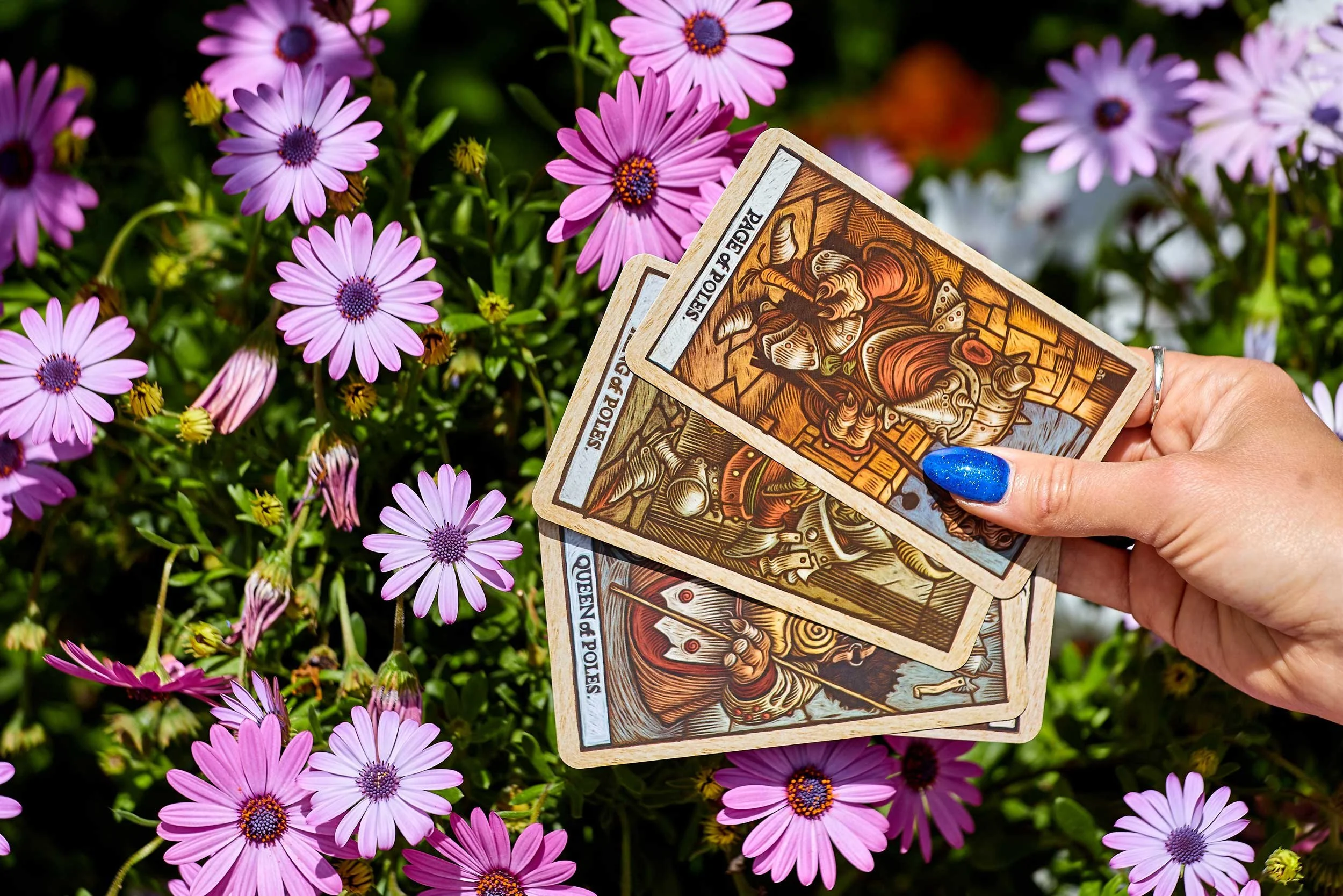 A hand holds three cards in front of flowers.