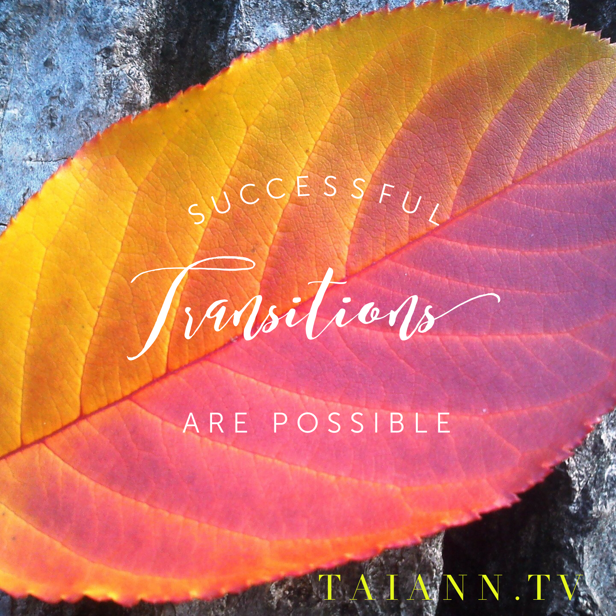 Successful Transition