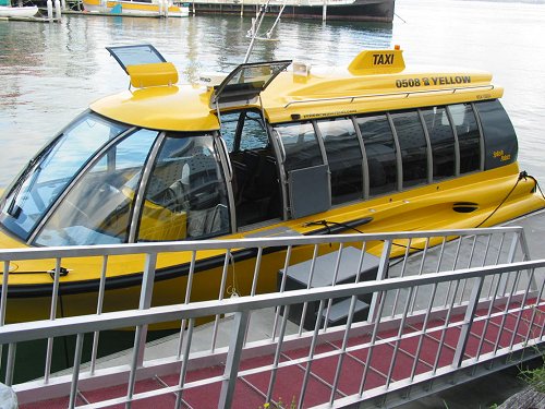 yellow_2.jpg