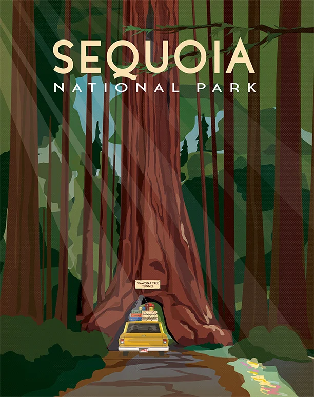 USA CALENDAR SEQUOIA NEW.jpg
