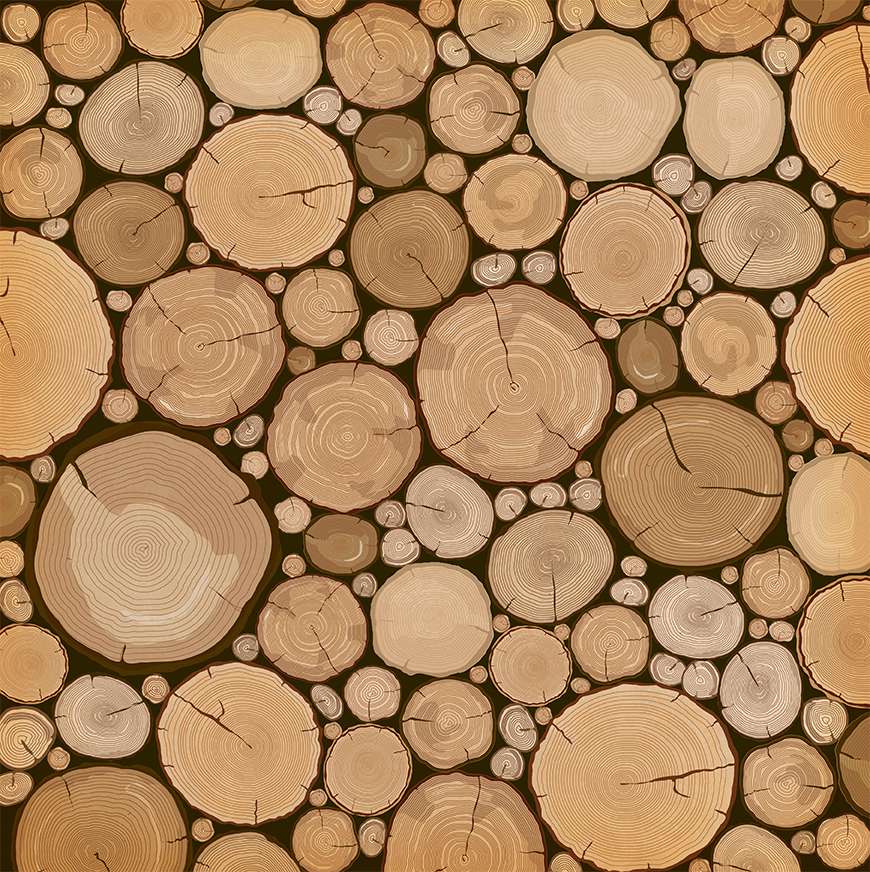 10B Great Outdoors Logs 4FIN OL.jpg