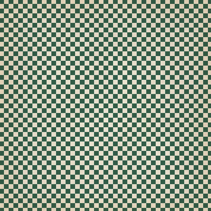 Summer Camp Gingham FIN OL.jpg