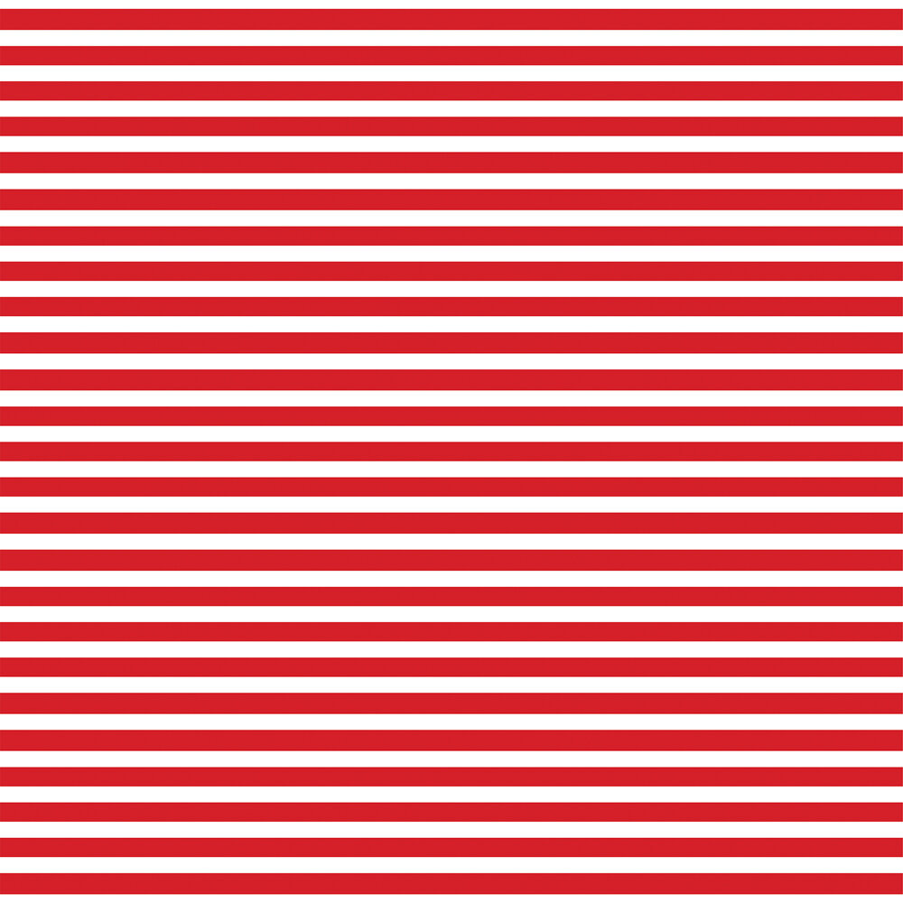 CBGBA136005_Firecracker_Fun_B.jpg