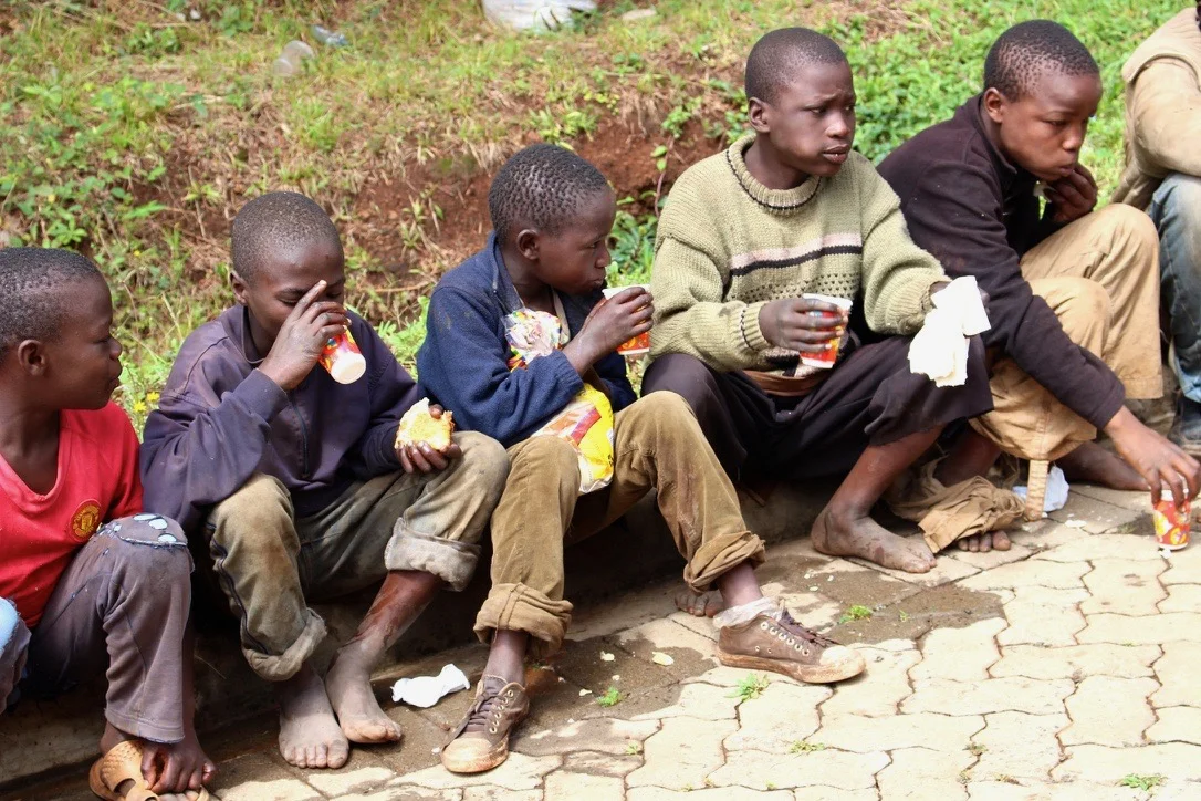 12 boys came out the first weekend of the feedings in March of 2015