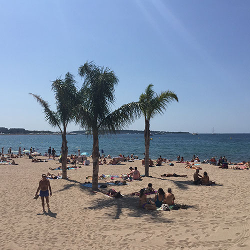 SS_Cannes05.jpg
