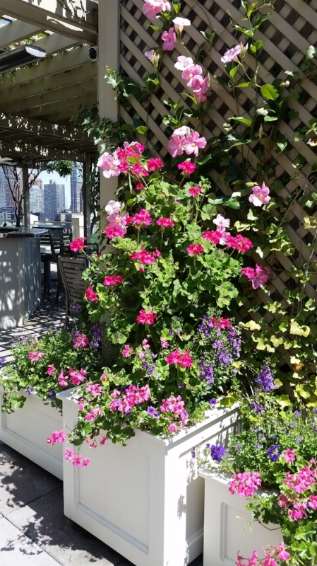 20170628_110411.jpg