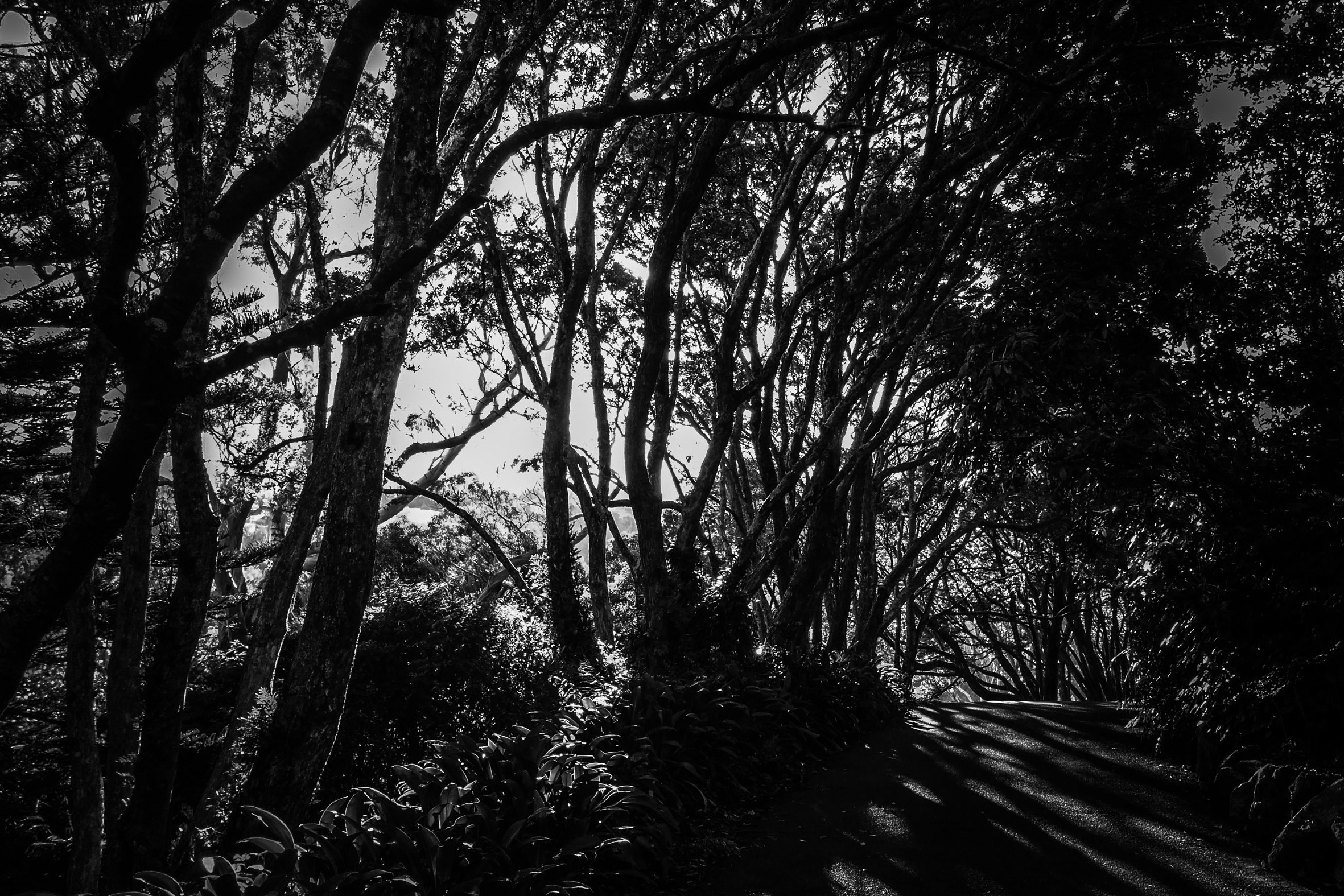 PSX_20140628_234142.jpg