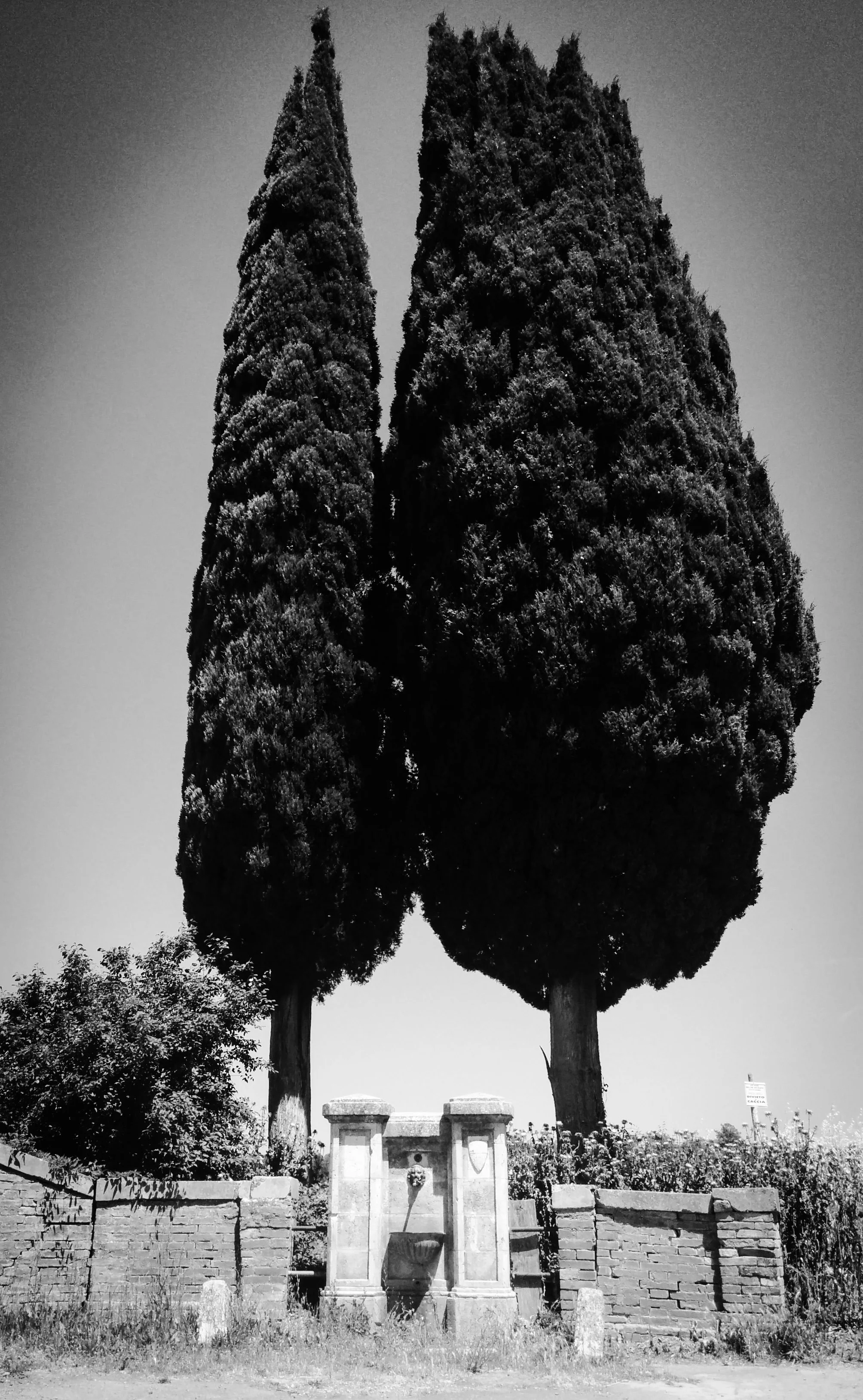 PSX_20140608_212031.jpg