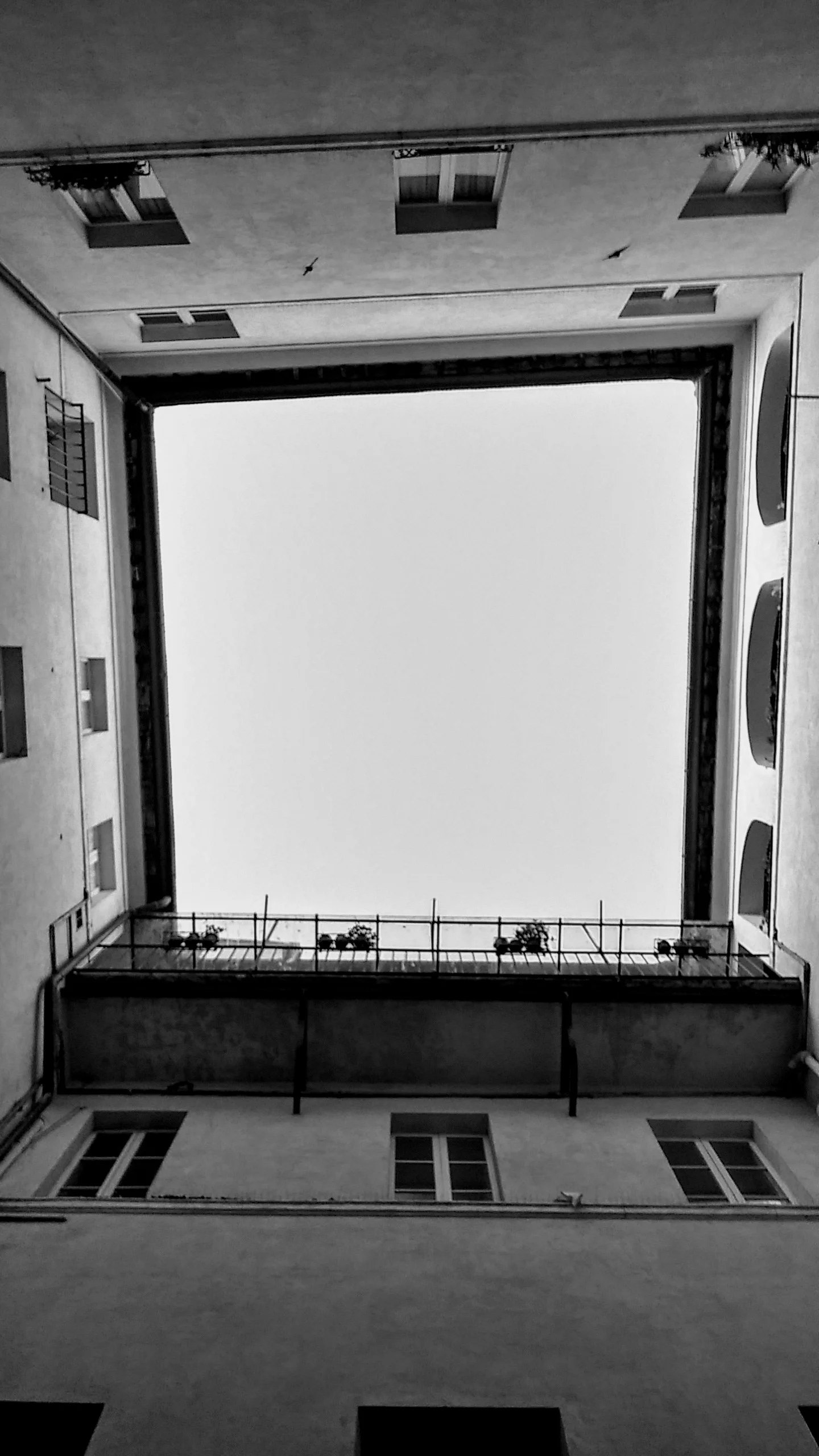 20190305_173453_HDR~3.jpg