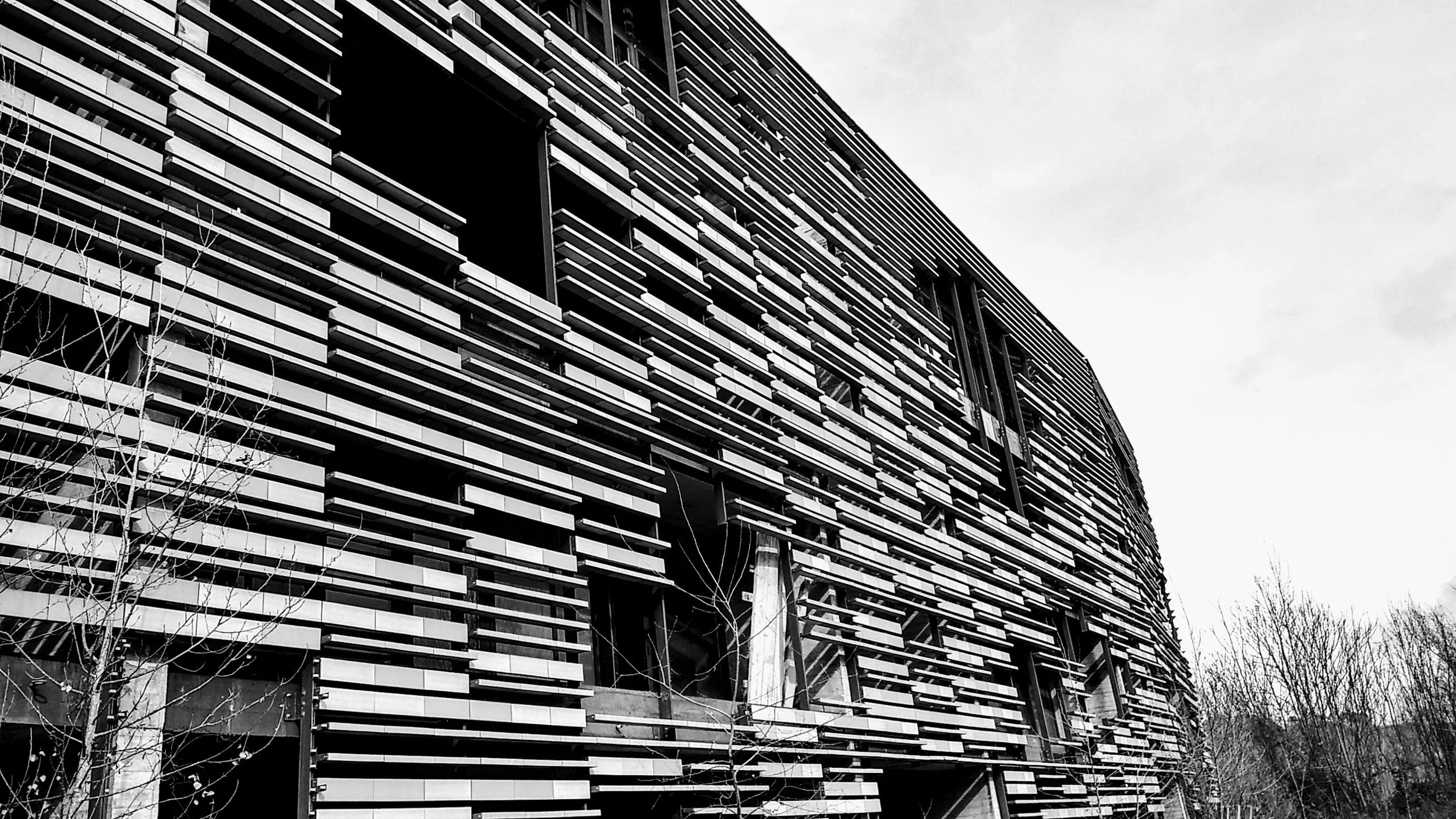 20190210_113222_HDR~2.jpg