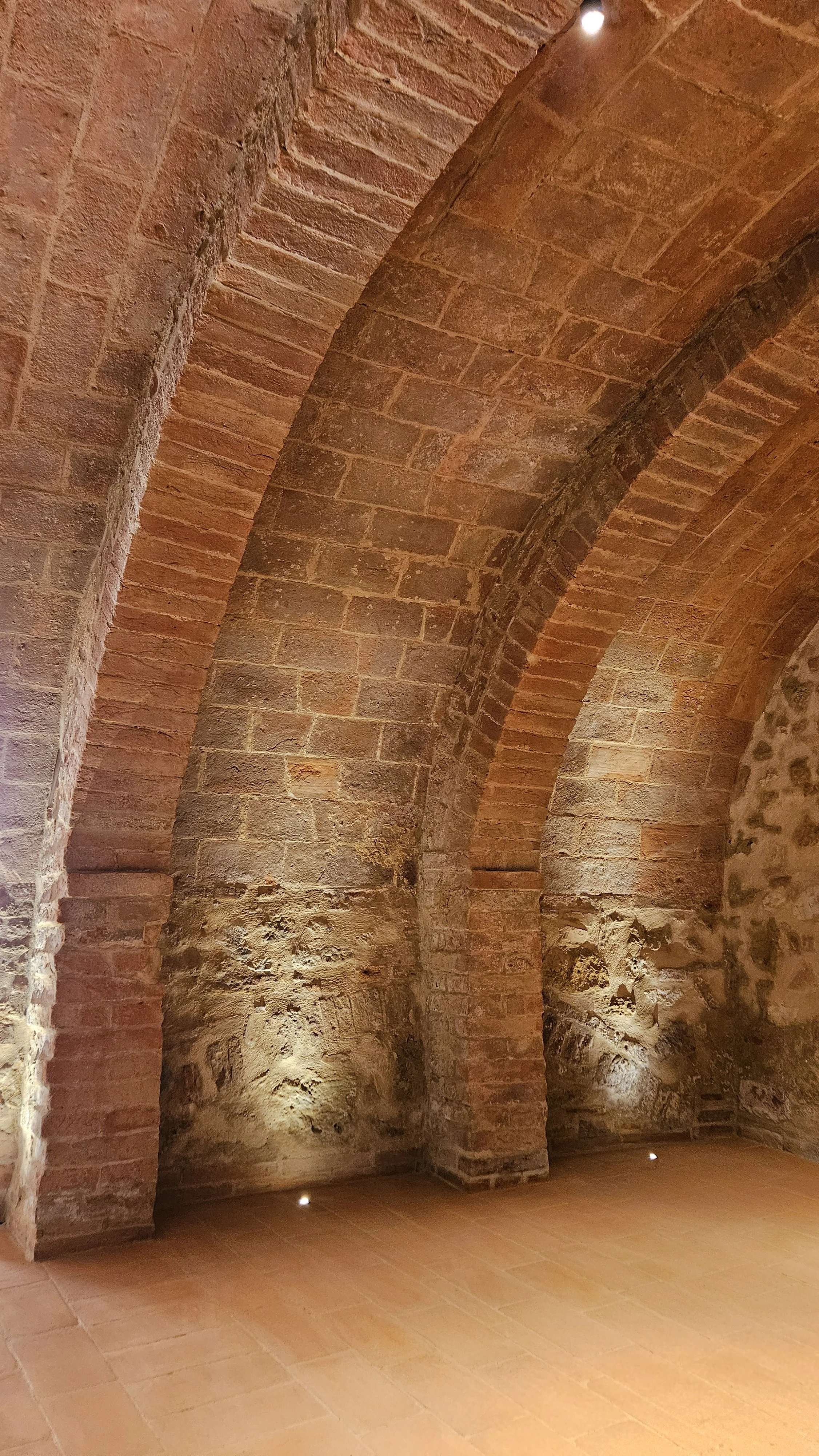 20251218_114201.jpg