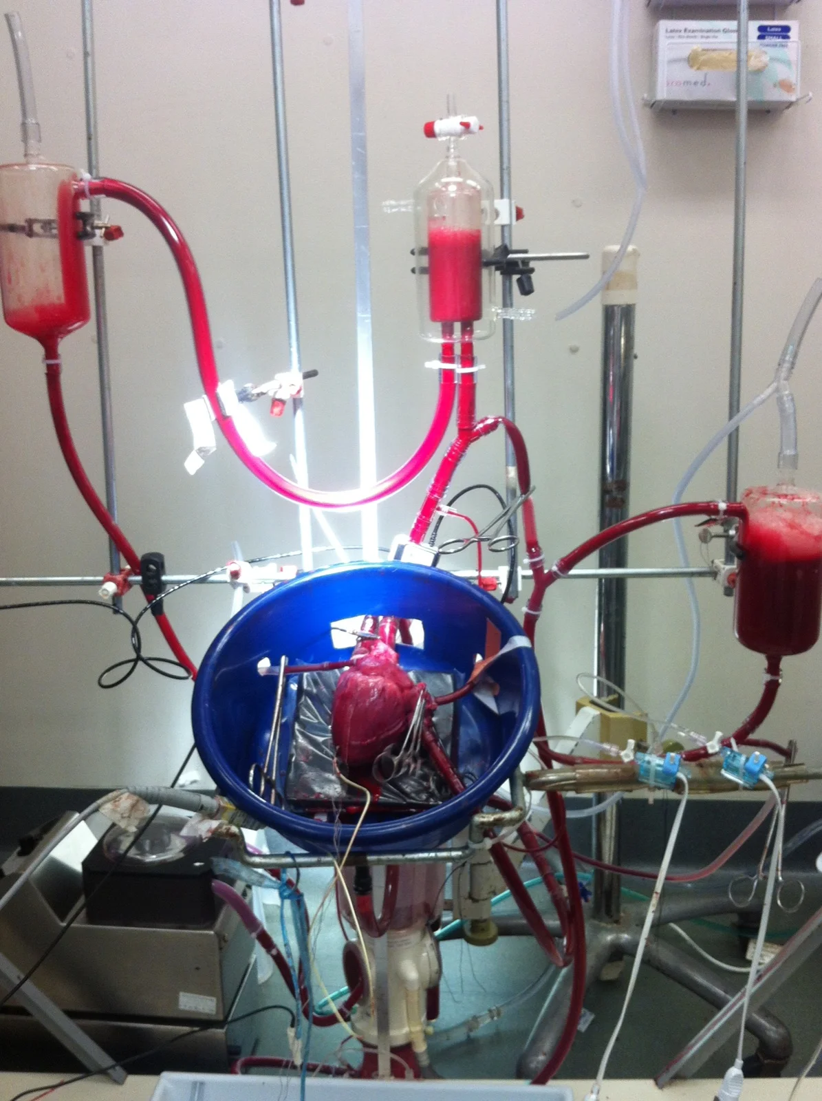 Perfusion Rig