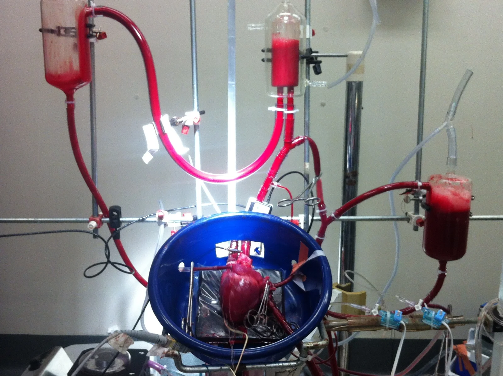 Perfusion Rig