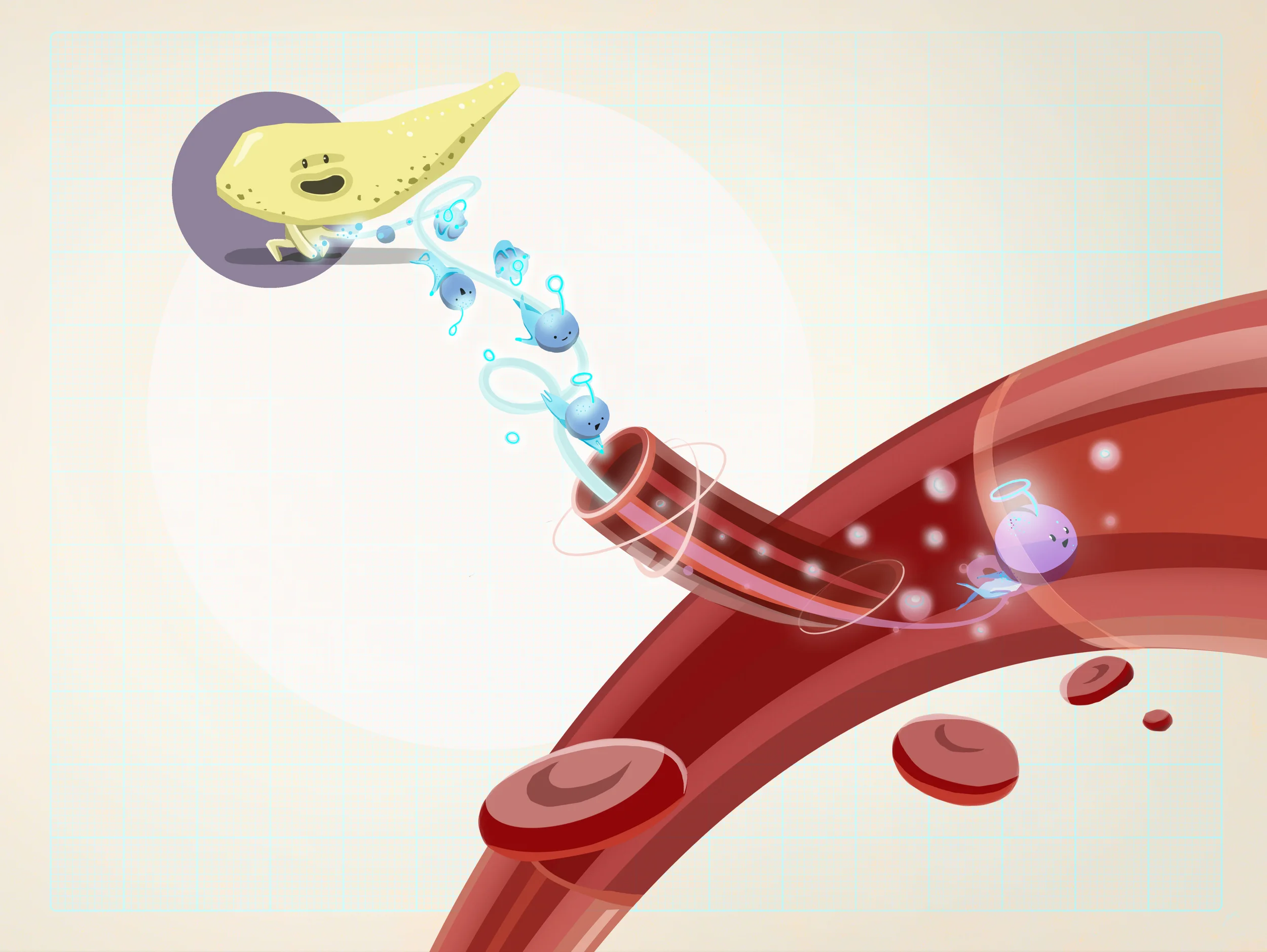 Insulin6.jpg