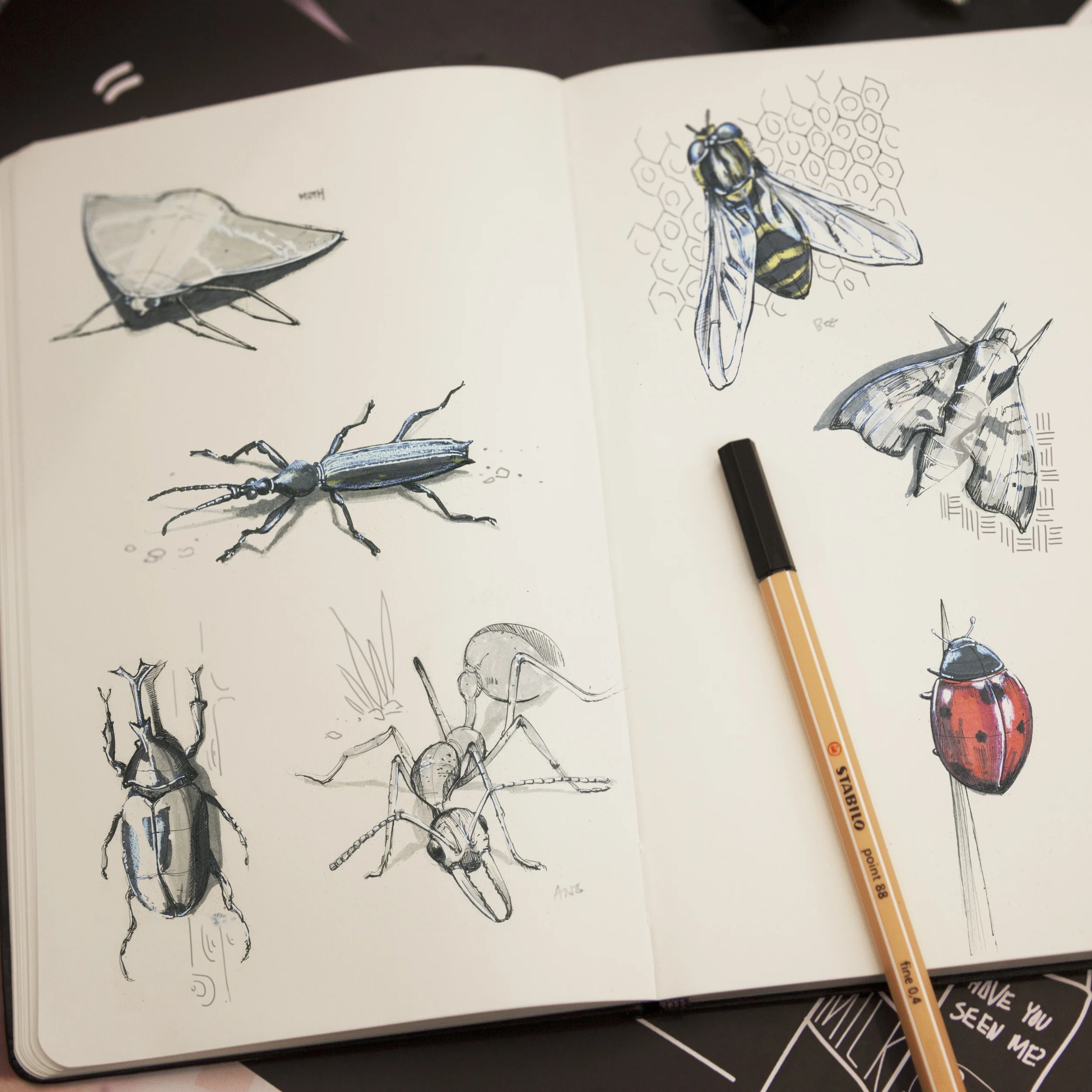 Moleskin_Insects.jpg