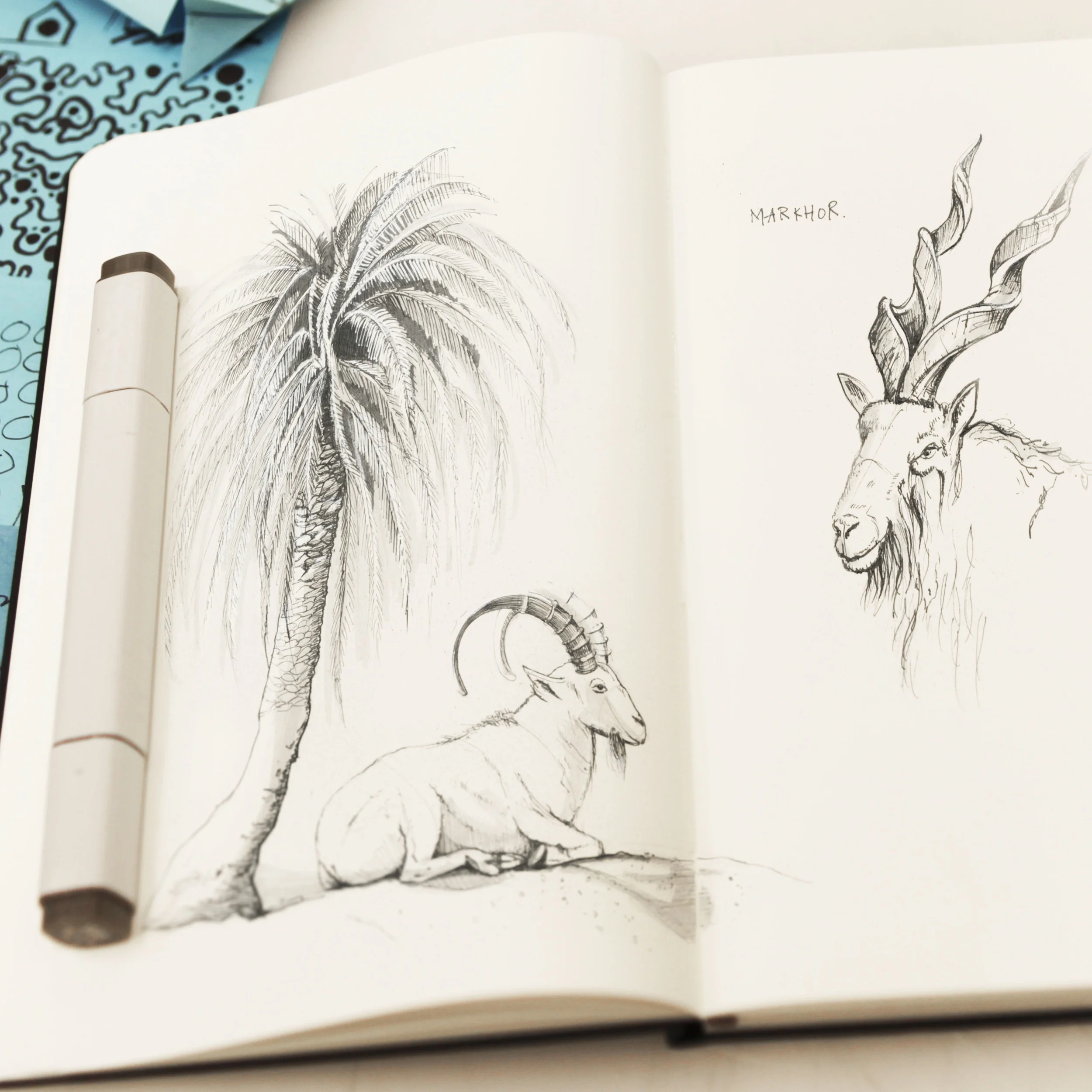 Moleskin_goat.jpg