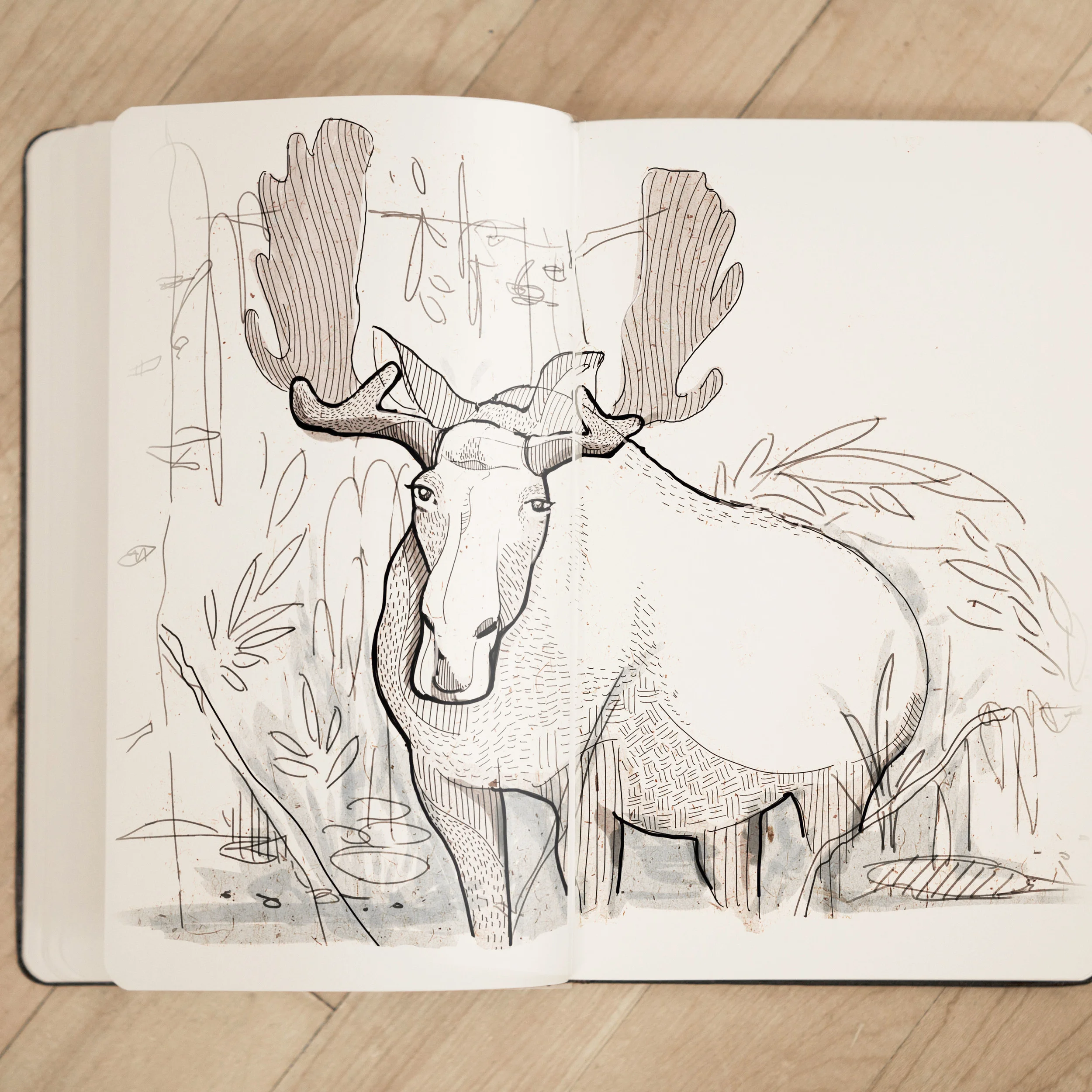 Moleskin_Moose.jpg