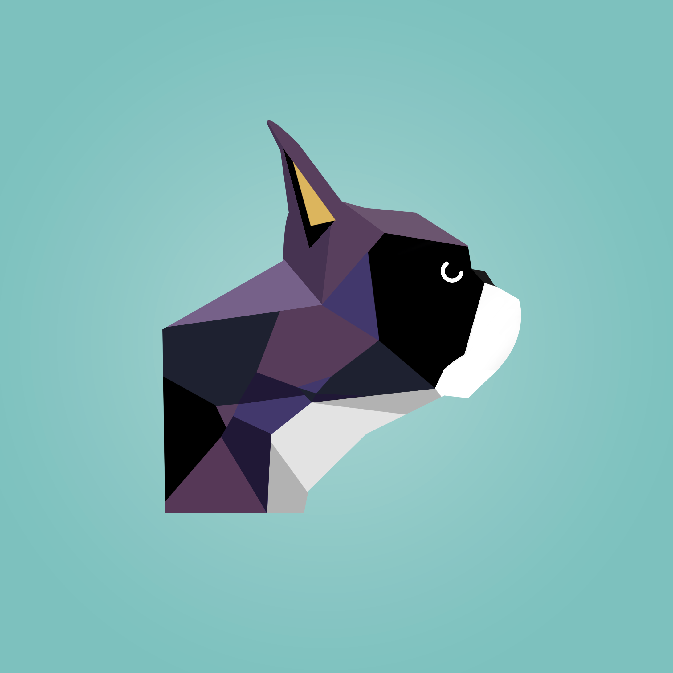 BostonTerrier.png