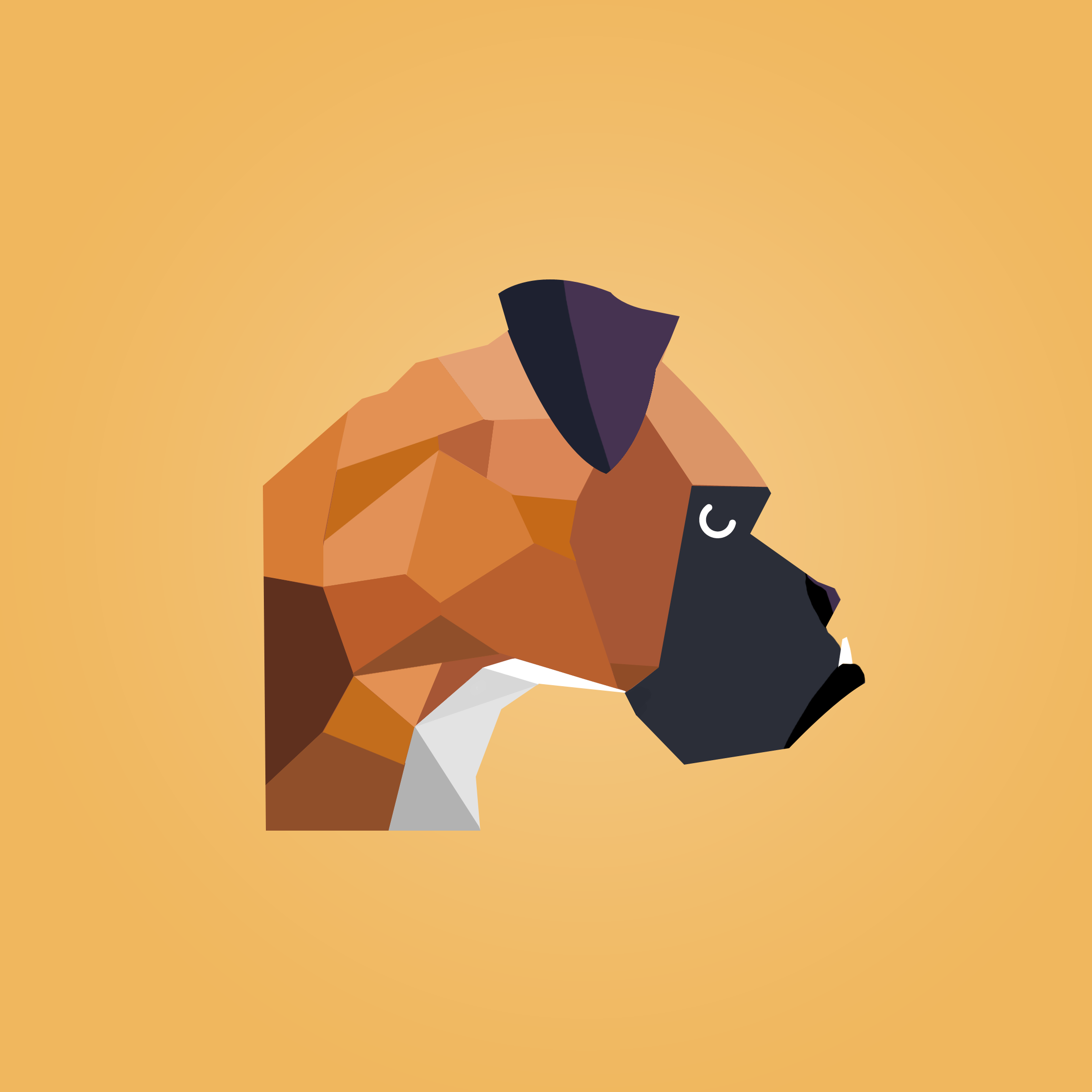 Boxer.png