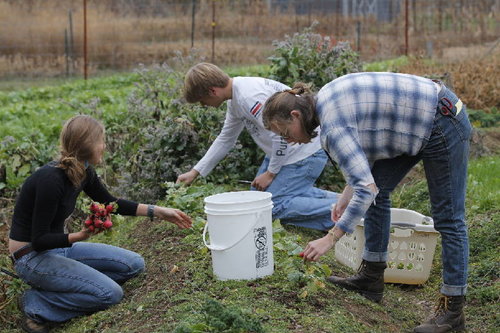 120712_WEB_a_SewaneeFarm2_t800_h5788525c6c3d6f4c7af43739e39a3d2c85f78f3c.jpeg