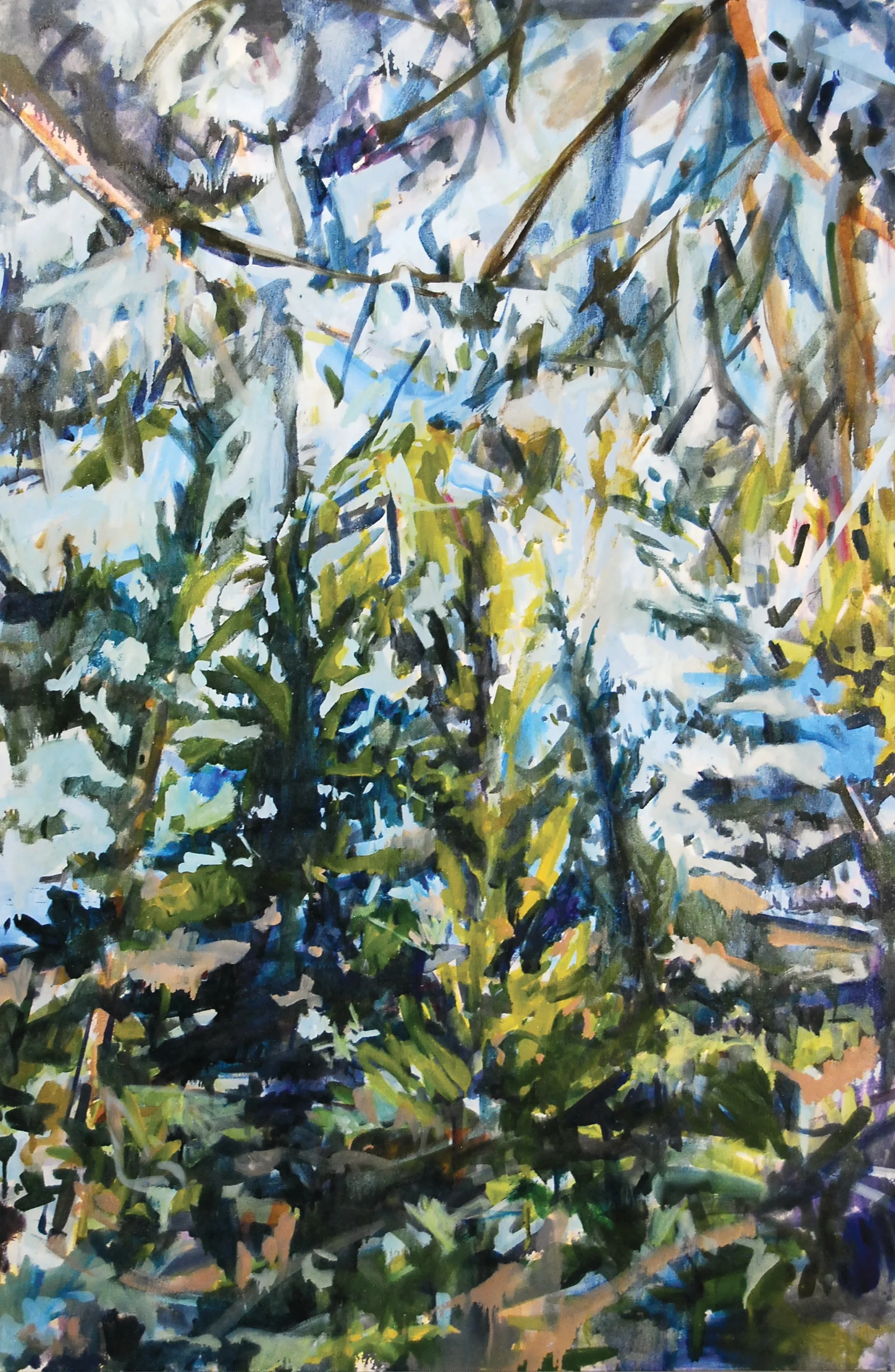 Under Trees