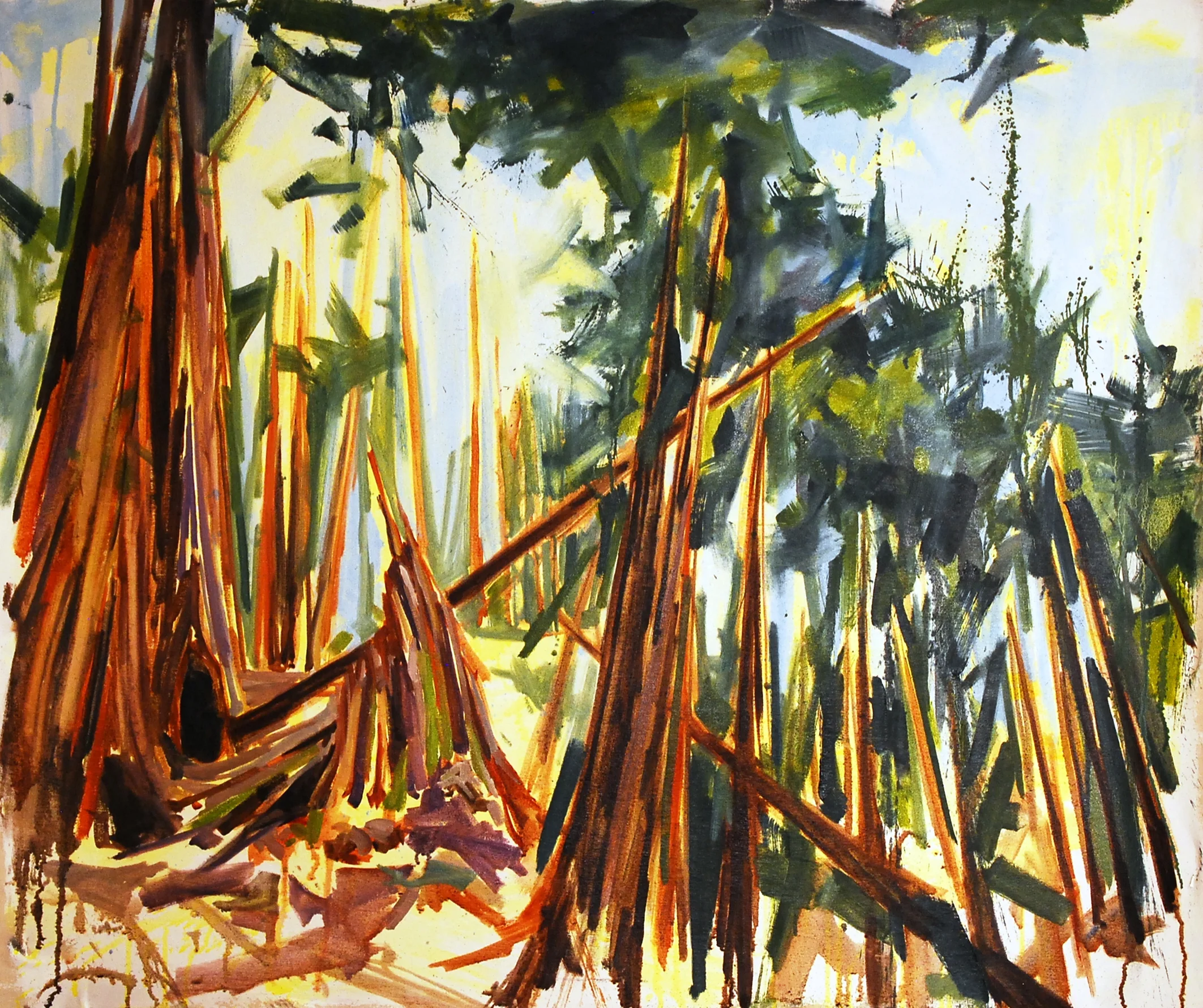 Muir Stumps