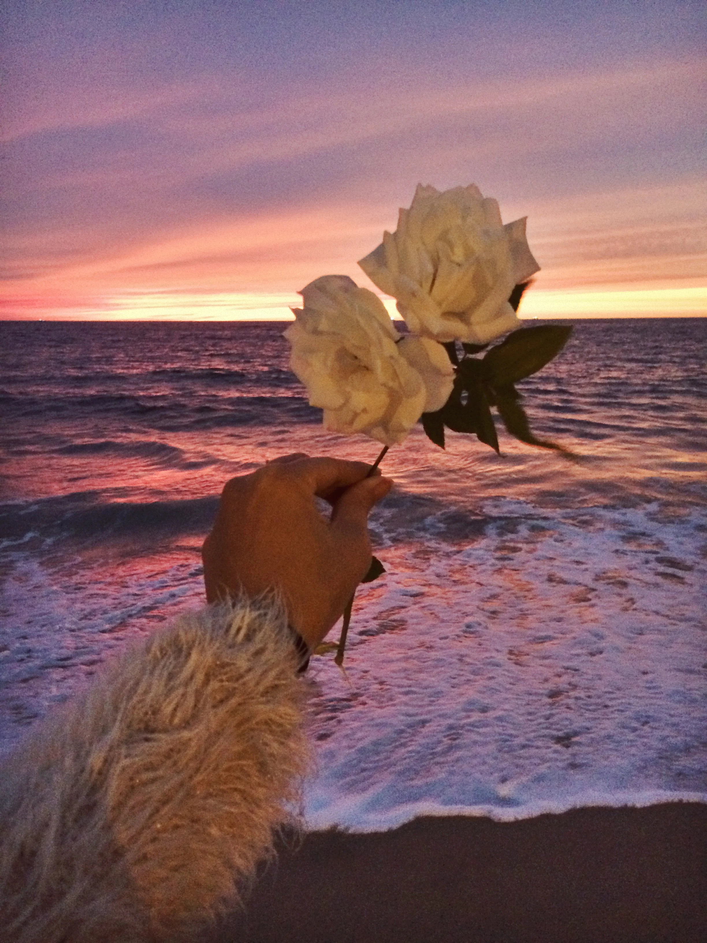 Rainbow Sherbert Skyline
