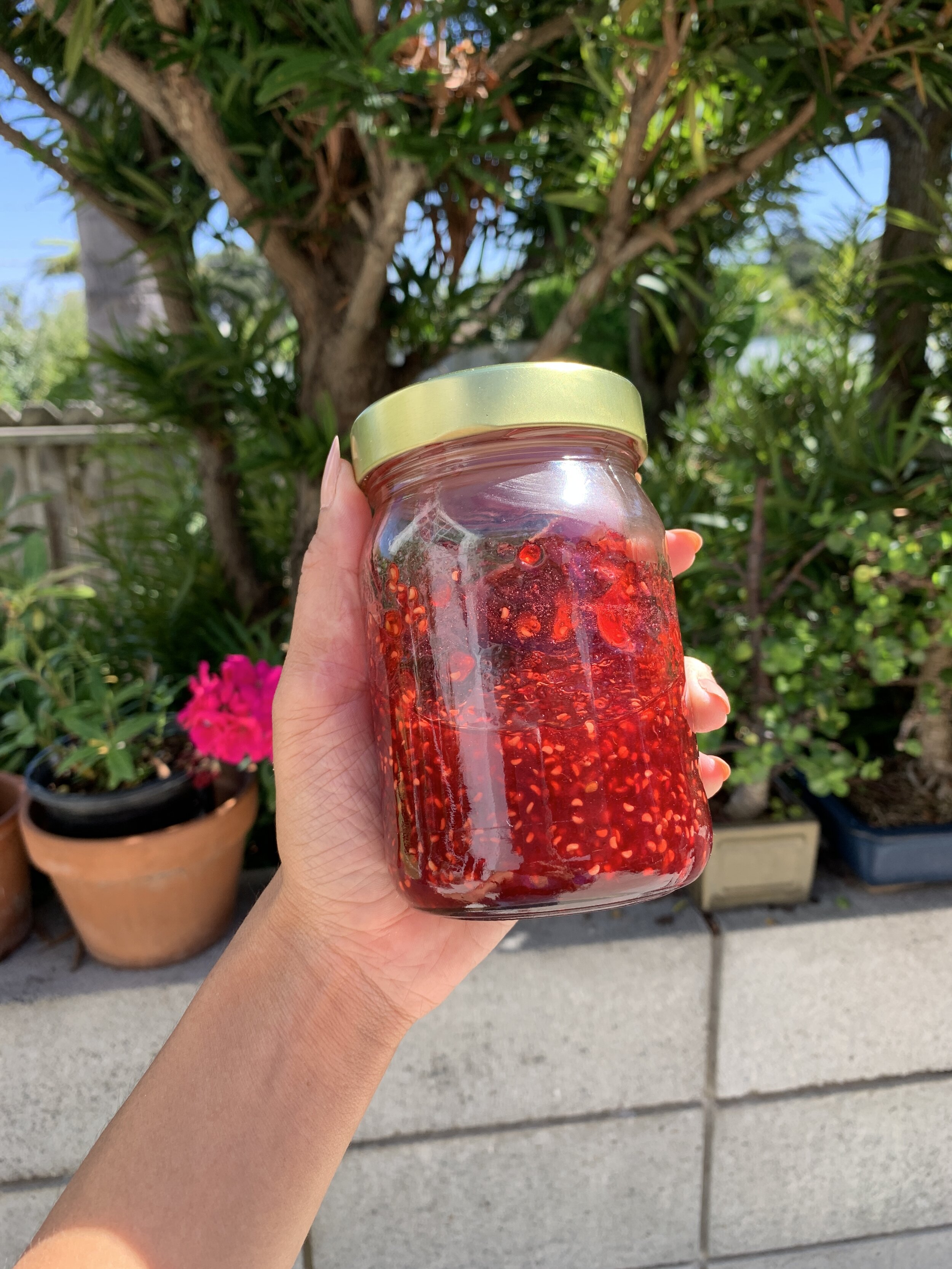 DIY: Raspberry Jam