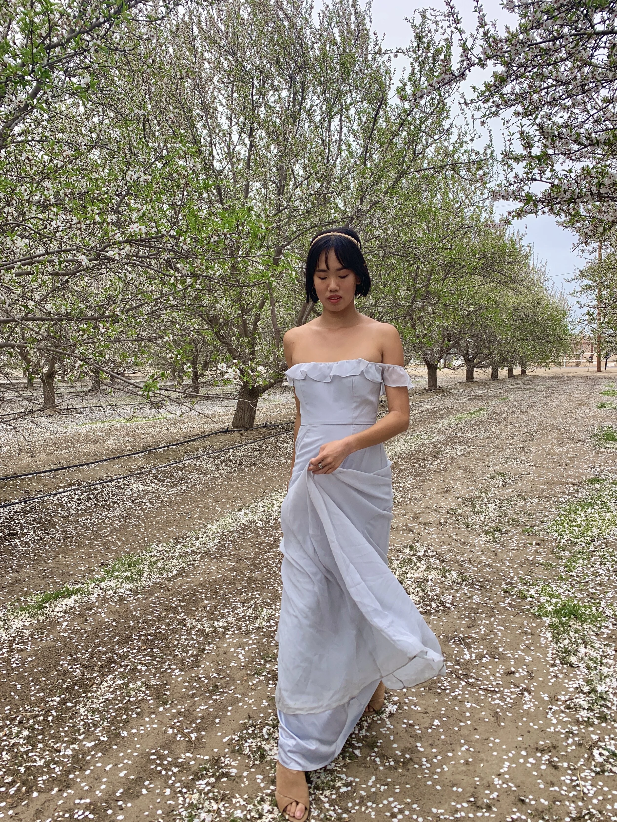 Almond Blossom Season