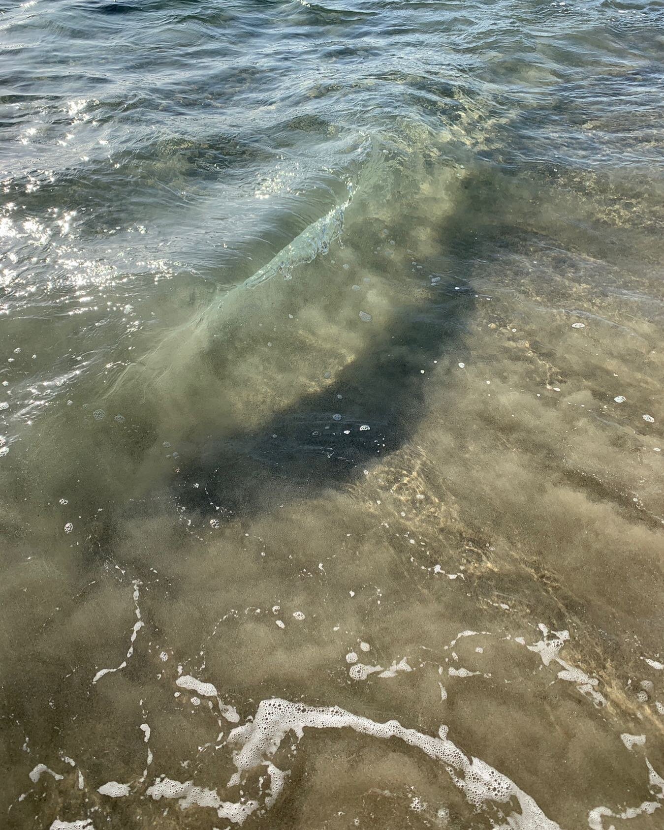 Wishing you a serene weekend 🌊