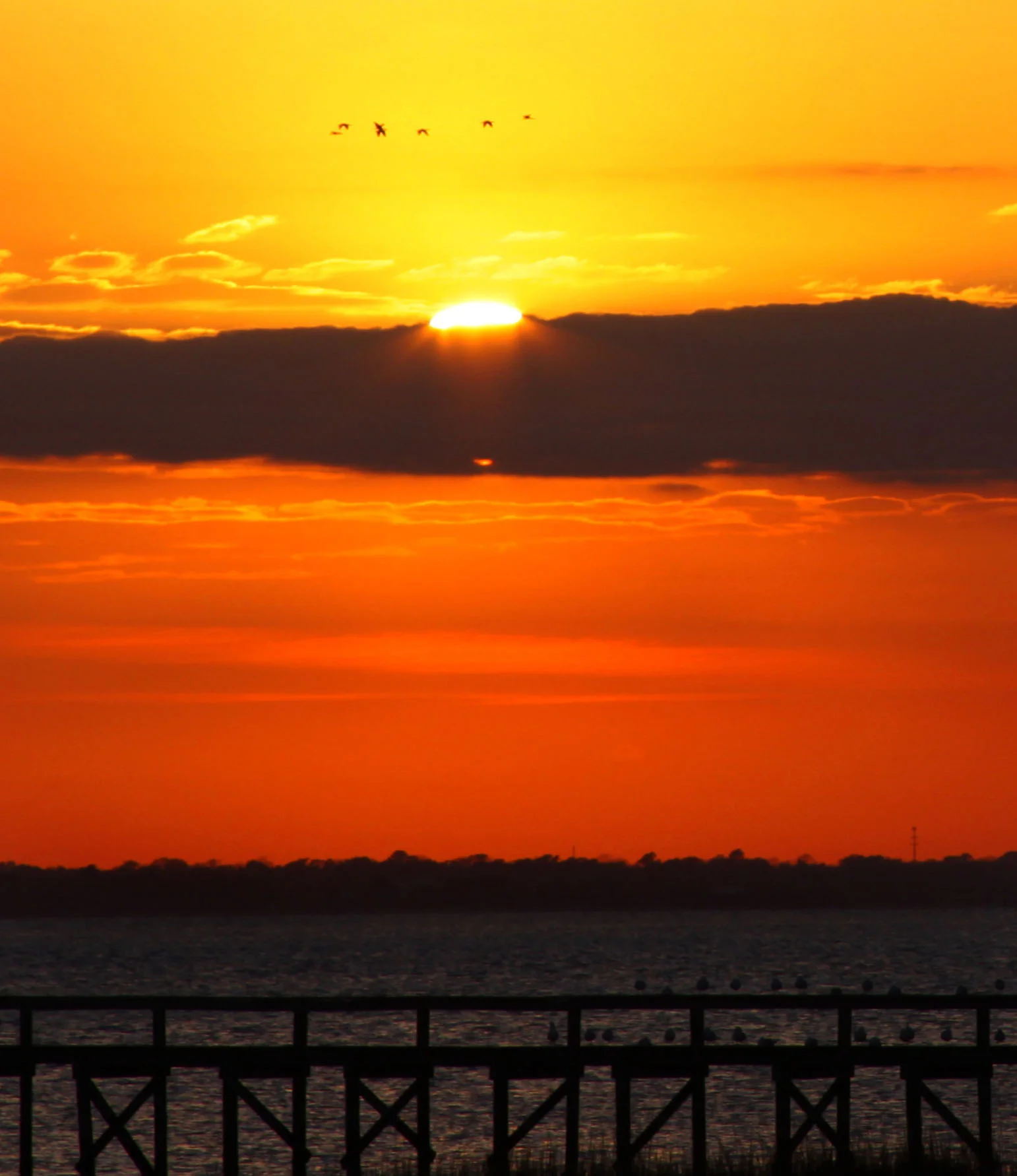 Beautiful Emissions.JPG