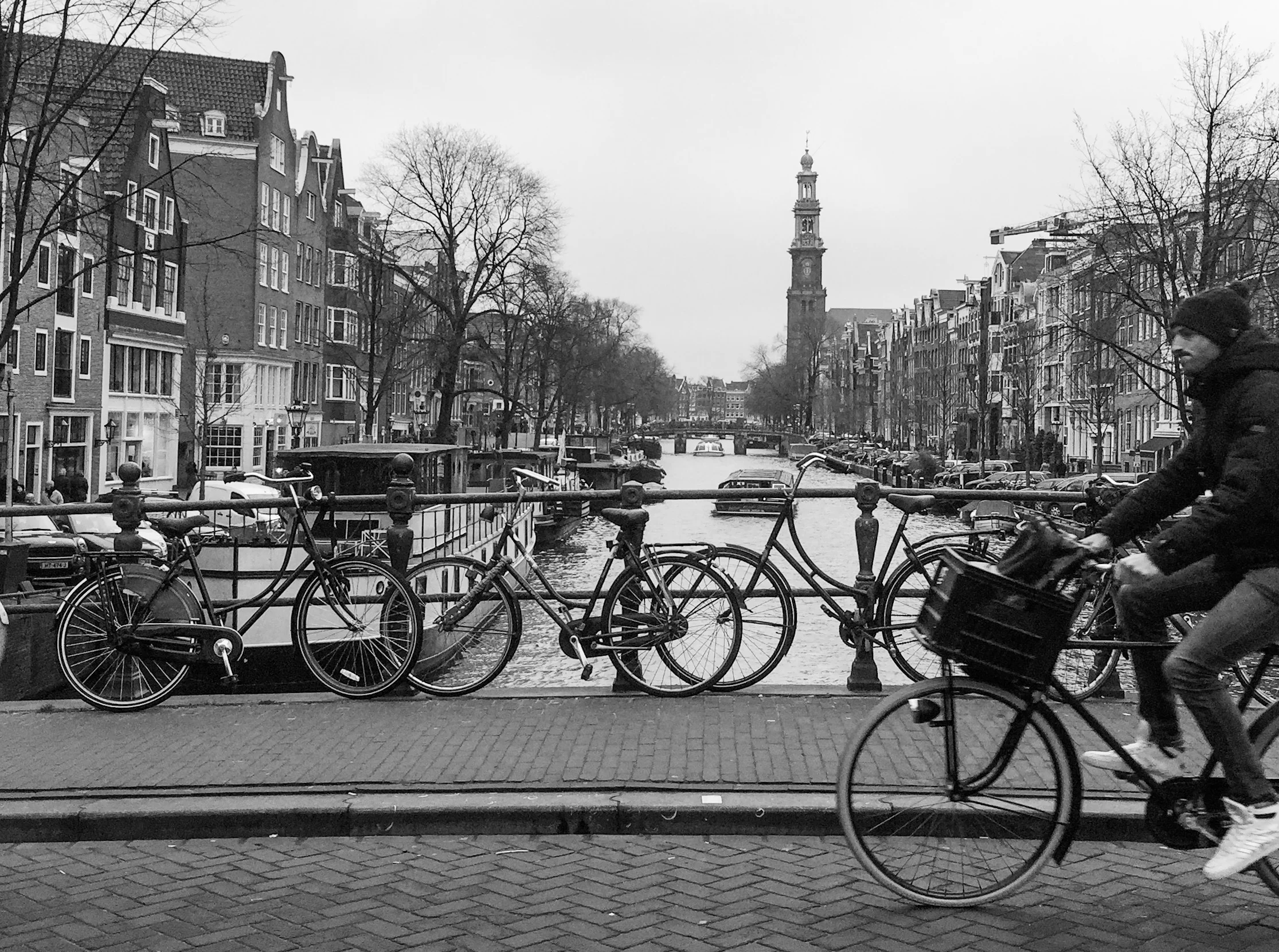 IMG_8248.jpg