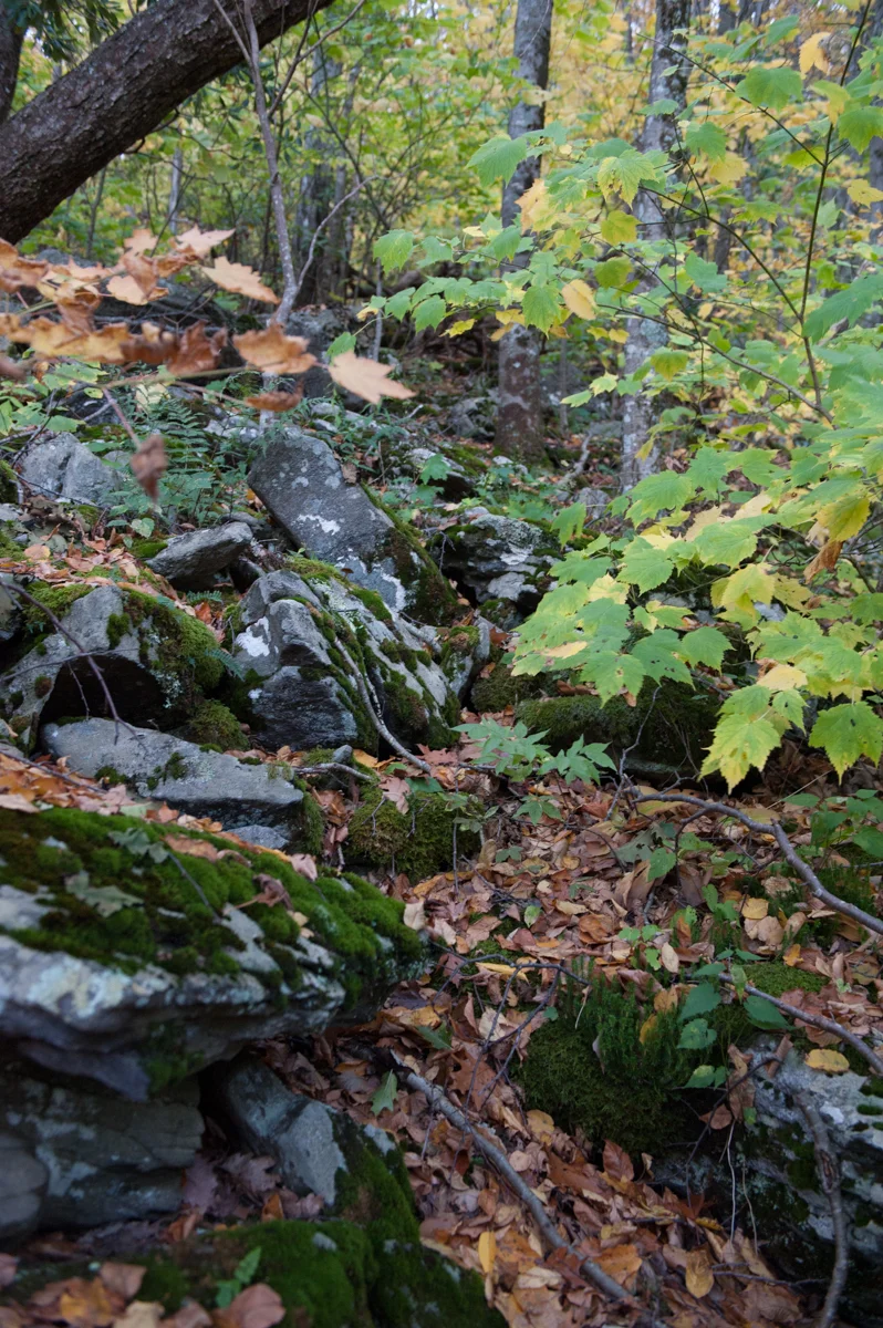 craggy-85.jpg