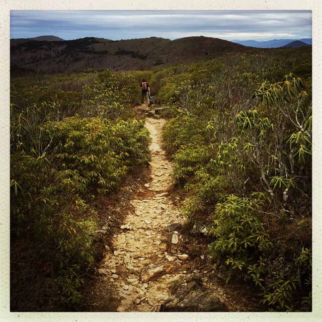 The Art Loeb Trail
