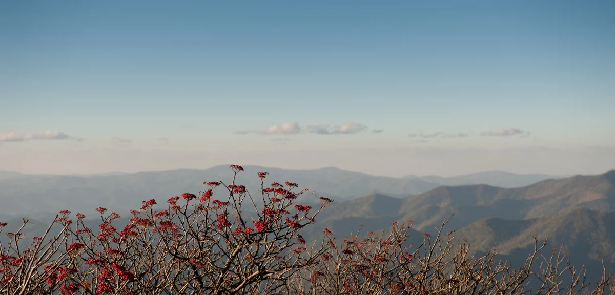 Fall at Craggy Gardens Pinnacle