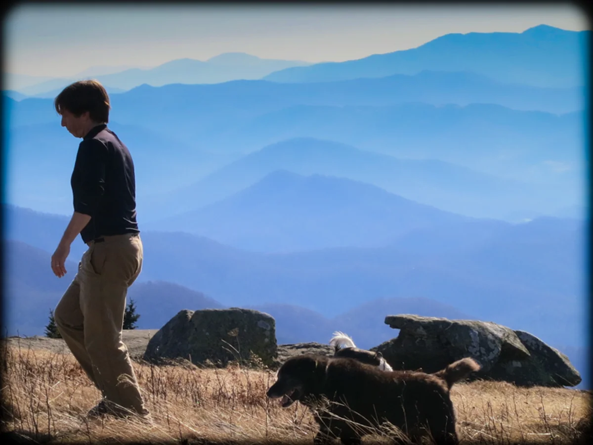 Roan Mountain