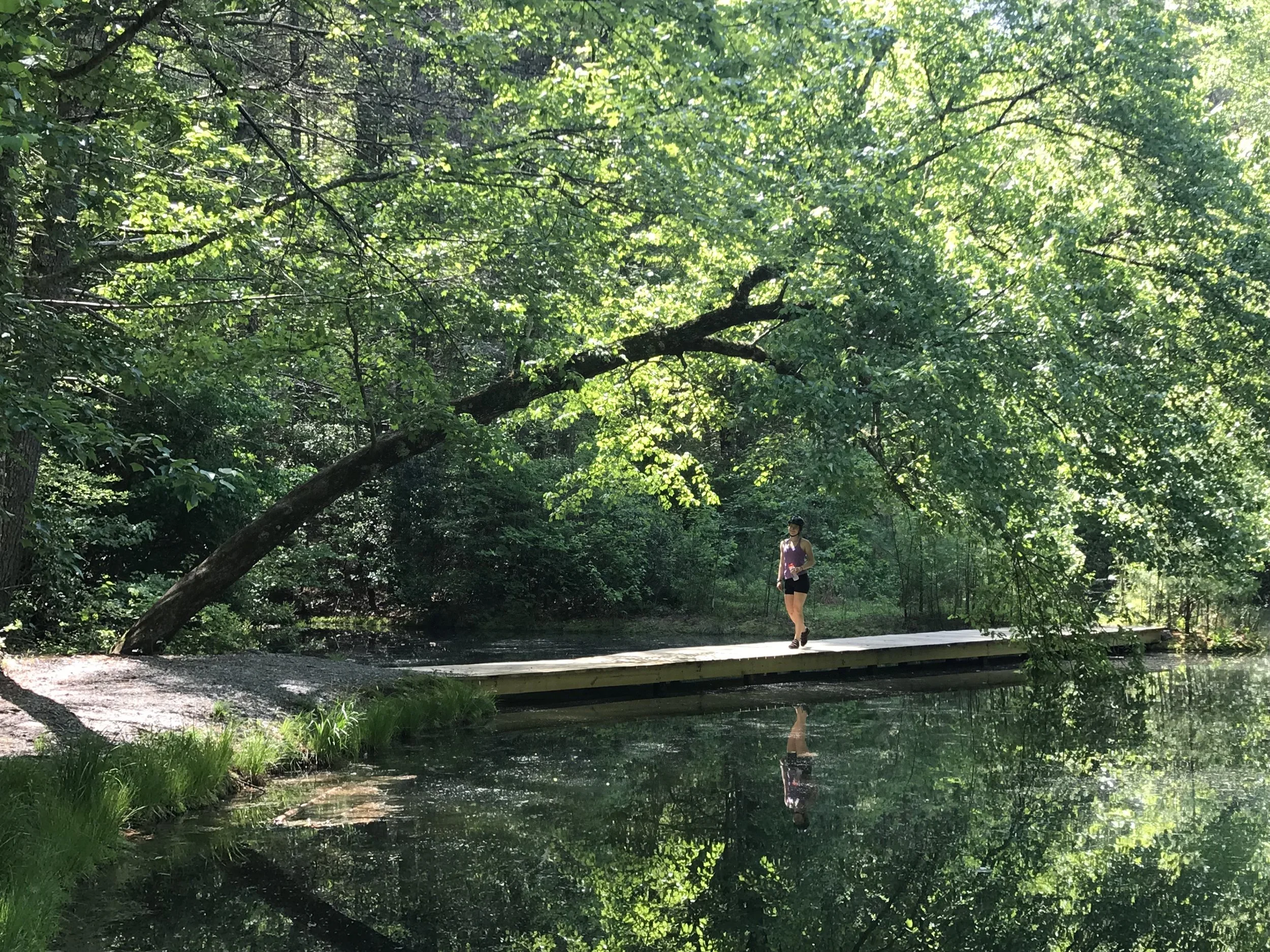 Rest from Dupont Forest Bike Ride