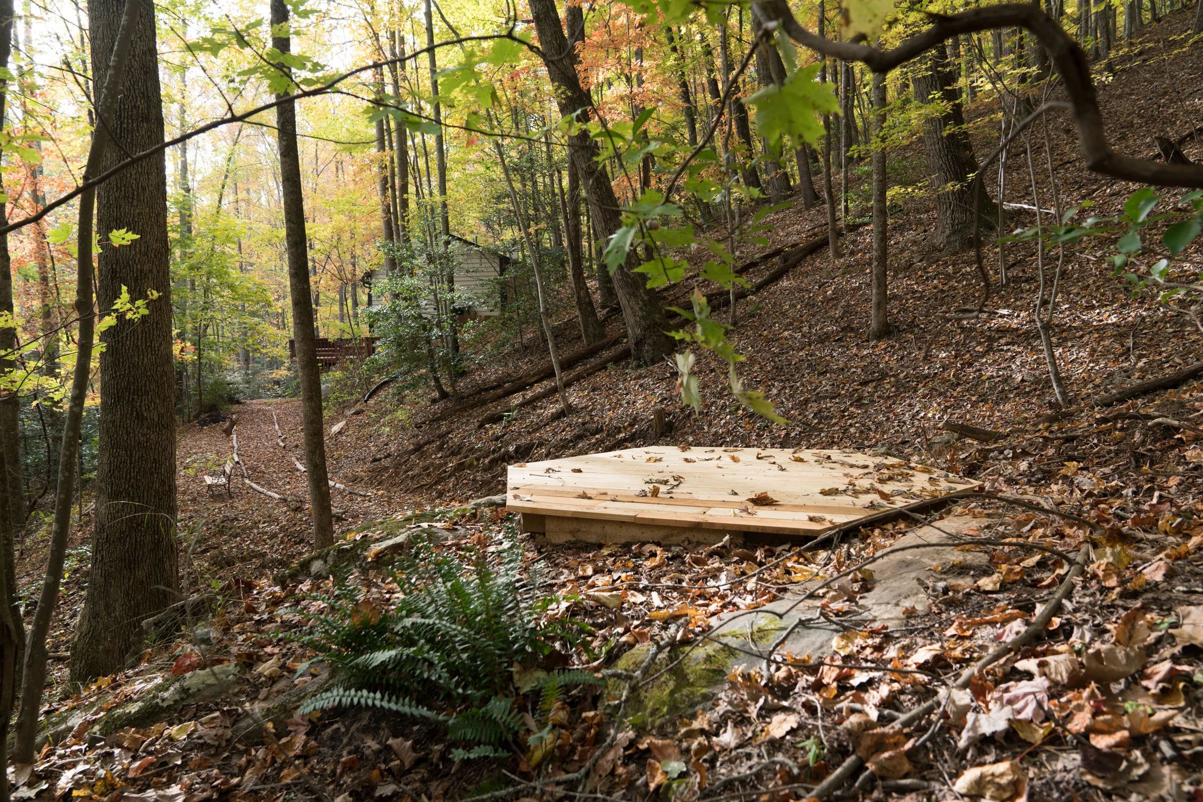 The meditation and yoga platform in the middle of the woods, completely private and dreamy