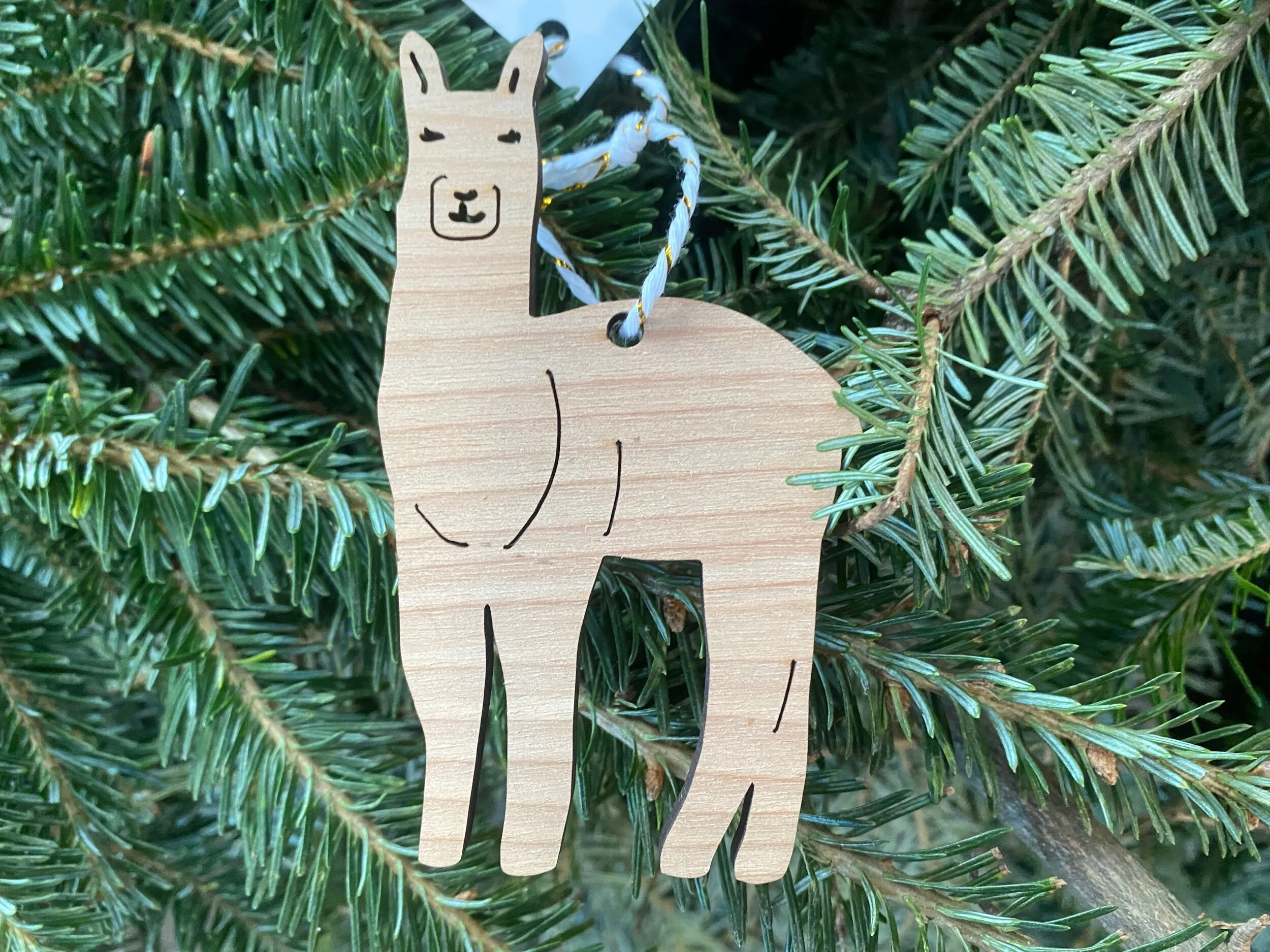 E89506BE-BA97-4773-BC20-8A5F43B45762