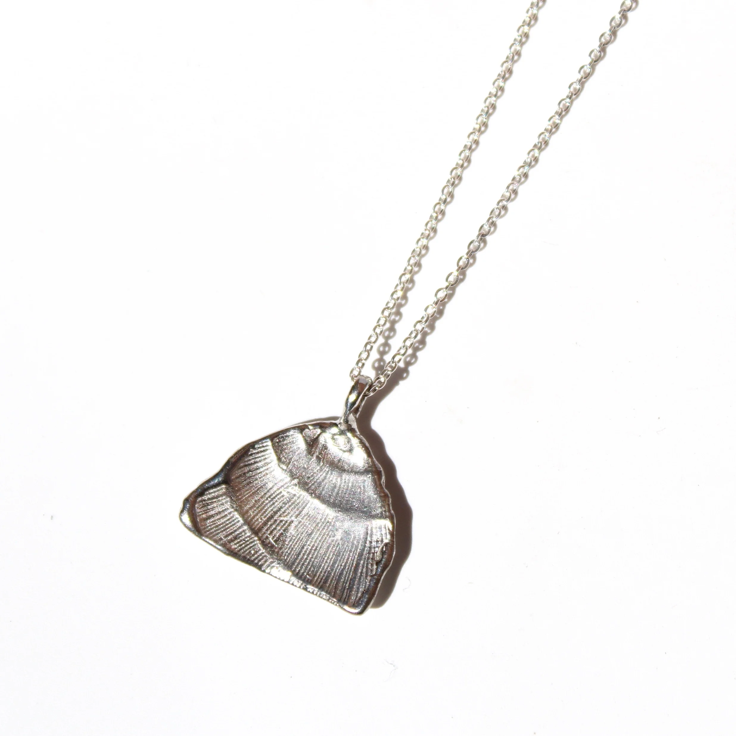 seashell necklace in silver